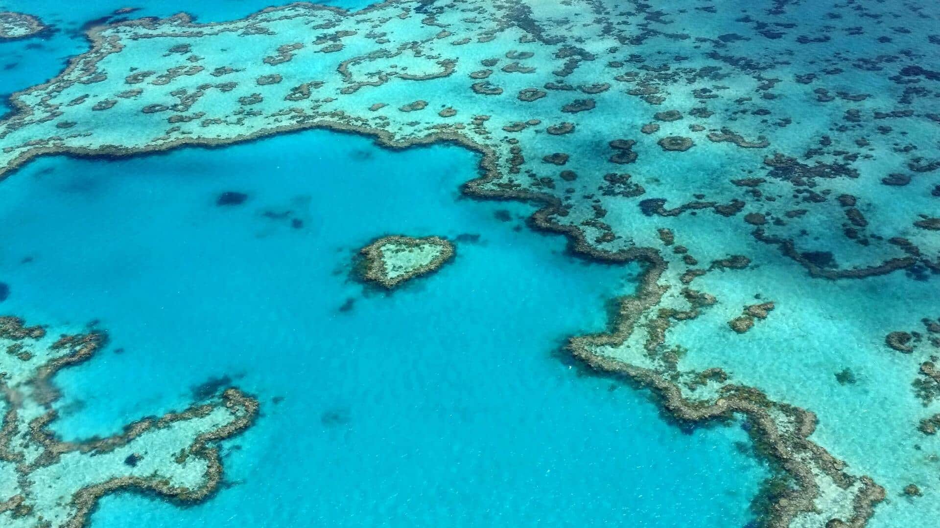 Menyelami Keindahan Terumbu Karang Australia