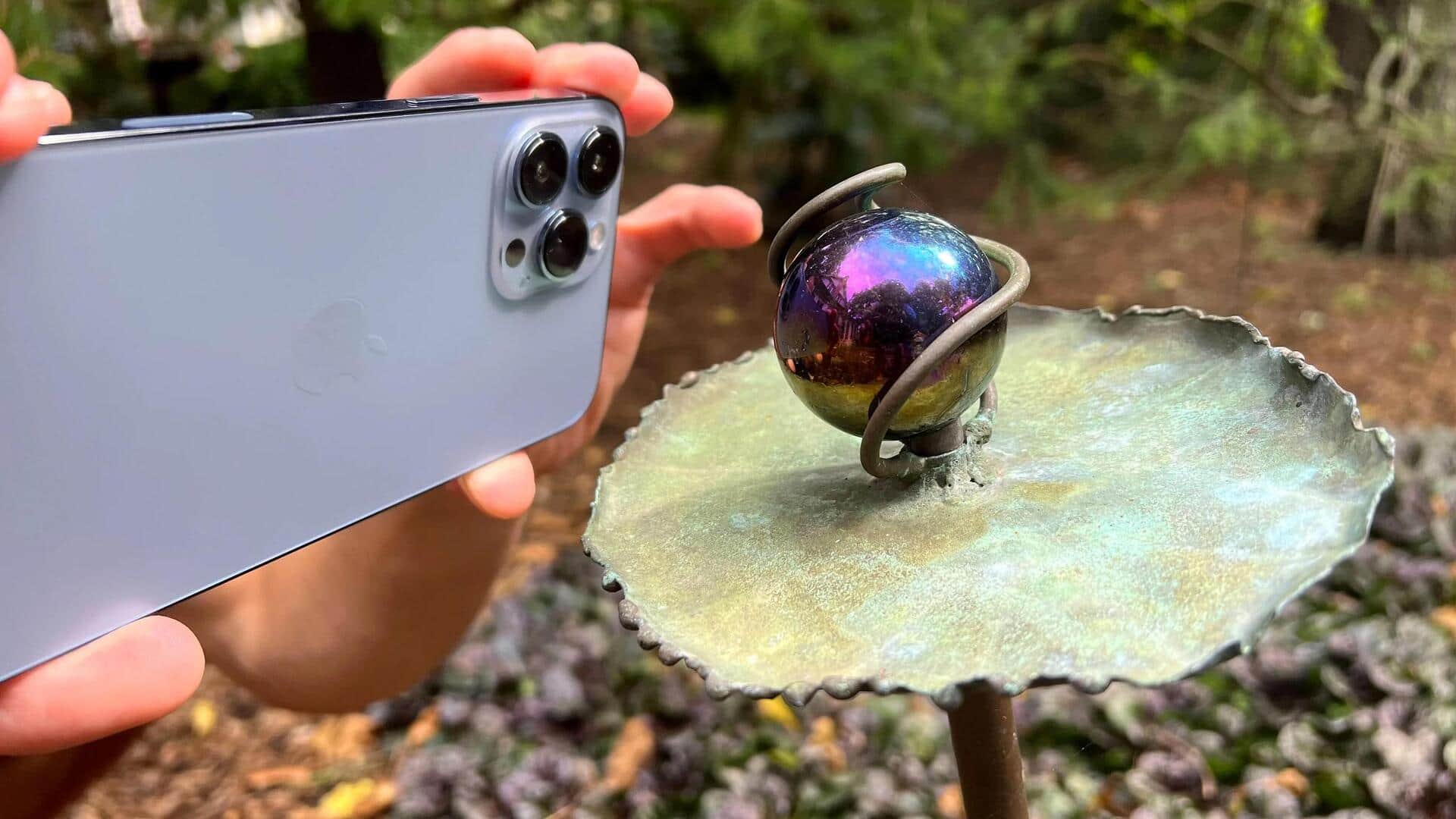 Lima Teknik untuk Meningkatkan Fokus Foto Makro dari Ponsel Pintar