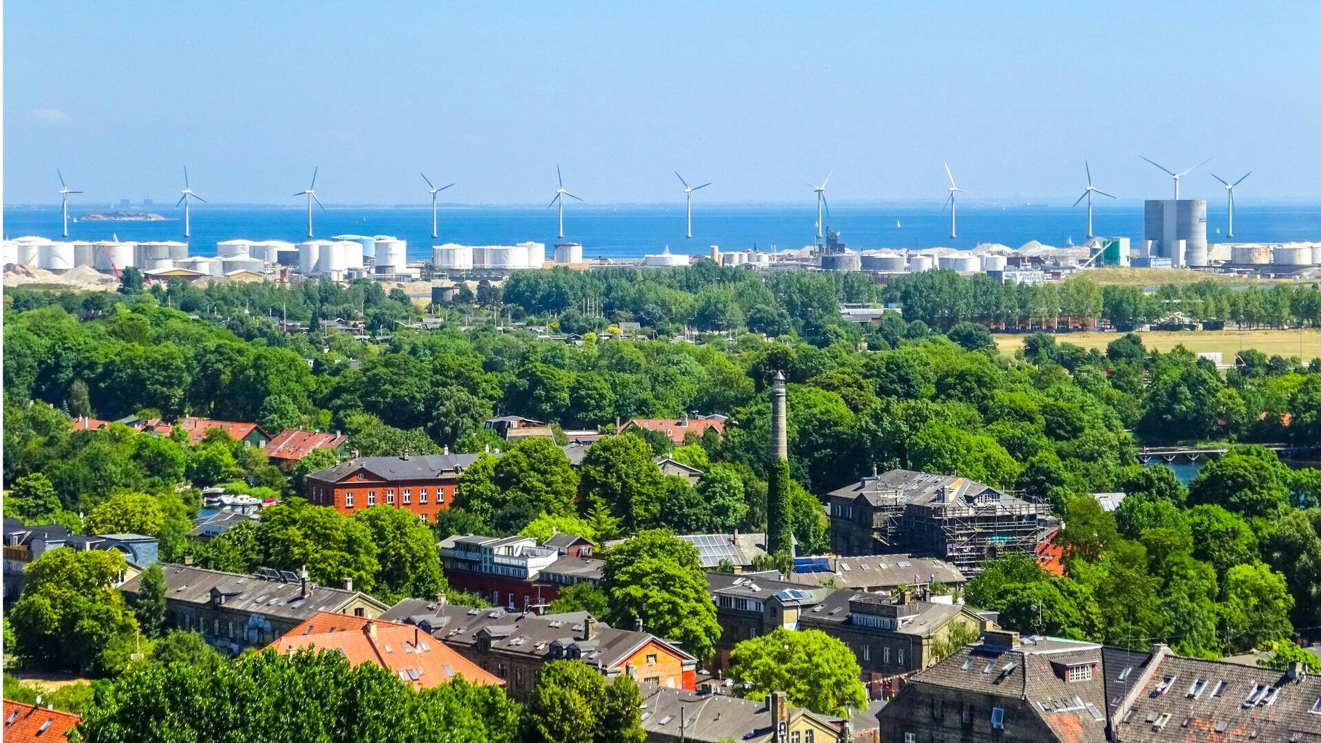 Menjelajahi Kebun dan Pertanian Urban Ramah Lingkungan di Kopenhagen