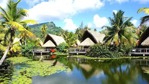 Surga Tersembunyi di Lima Pulau Polinesia Prancis
