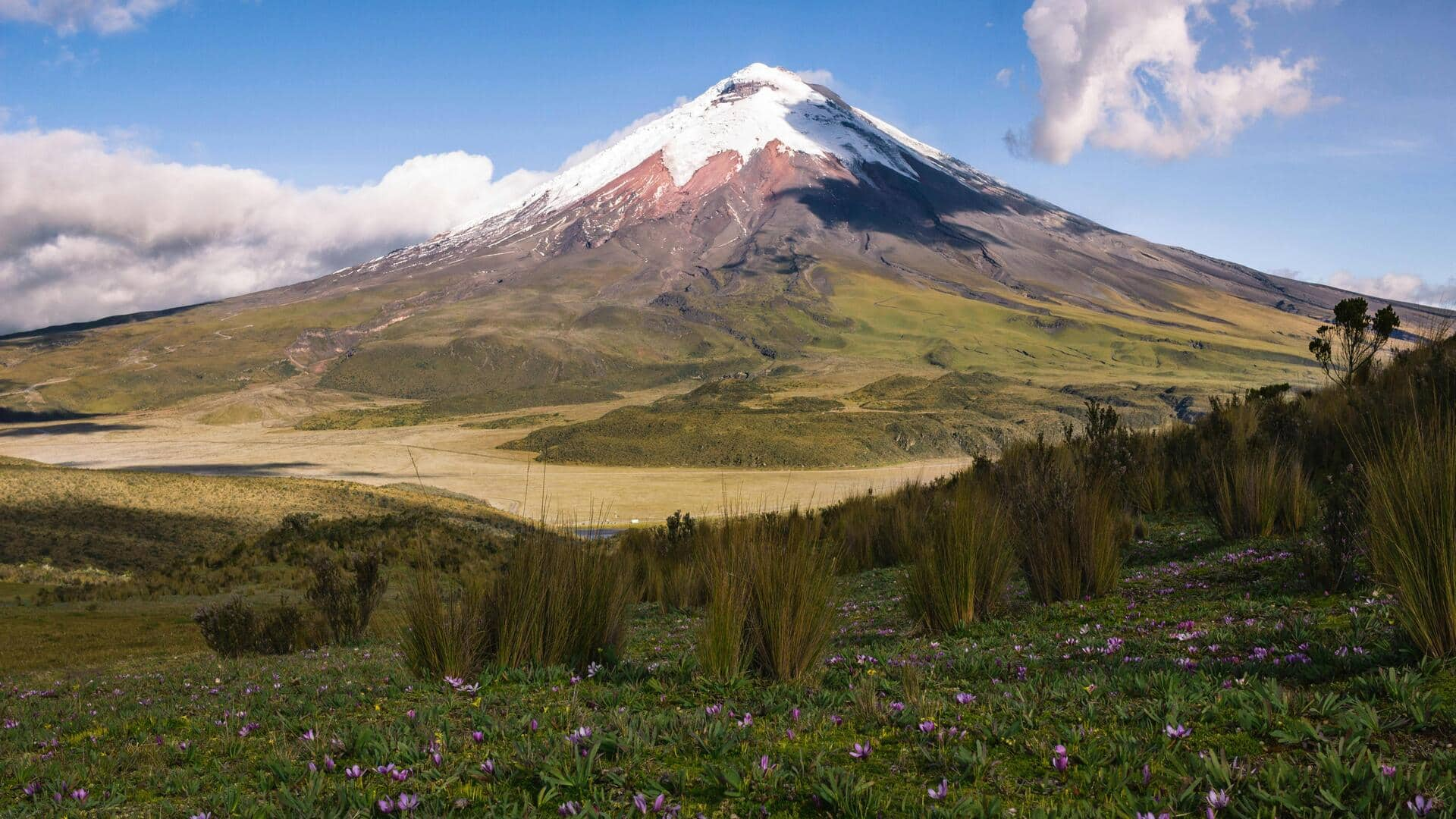 Menjelajahi Hutan Awan Andes di Ekuador