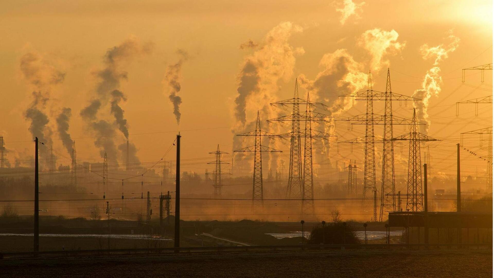 Peran AI dalam Konservasi Lingkungan Global