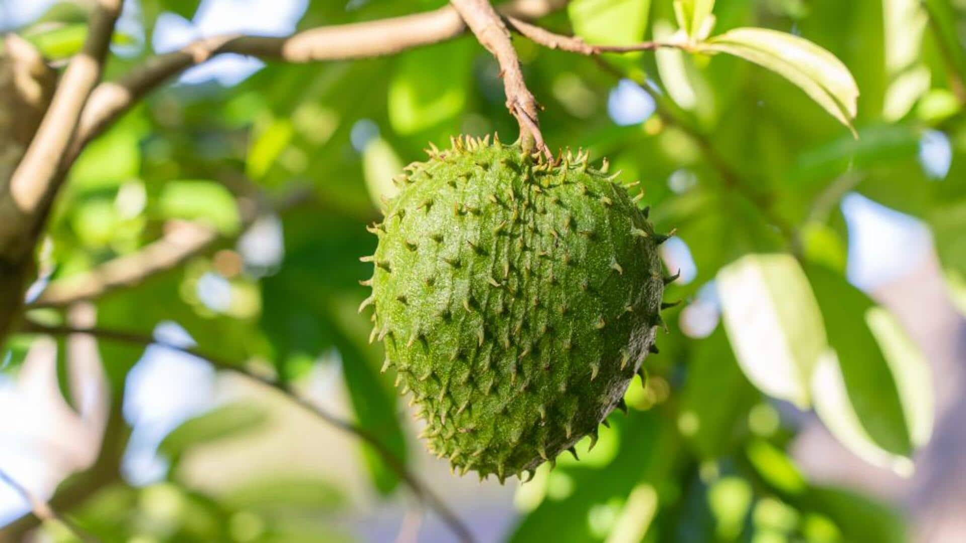 Buah-buahan Langka dari Indonesia yang Wajib Anda Coba Buah-buahan Langka dari Indonesia yang Wajib Anda Coba