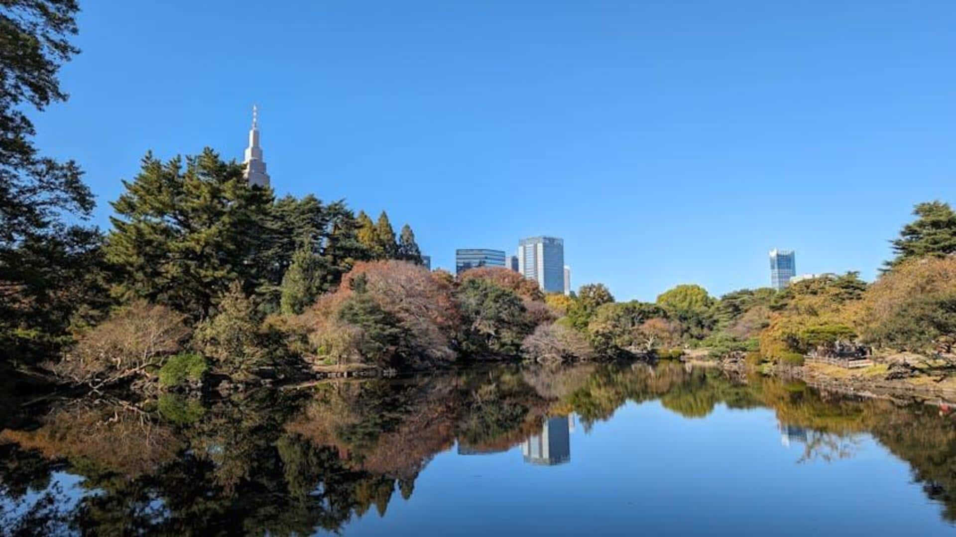 Menemukan Taman Tenang di Tokyo