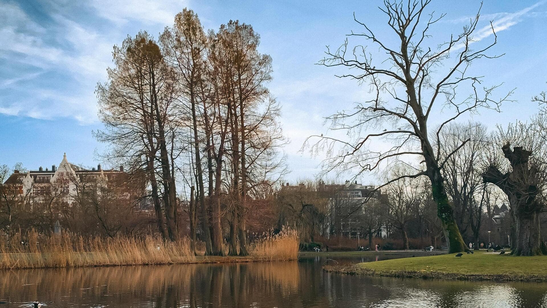 Taman Tenang di Amsterdam untuk Bersantai