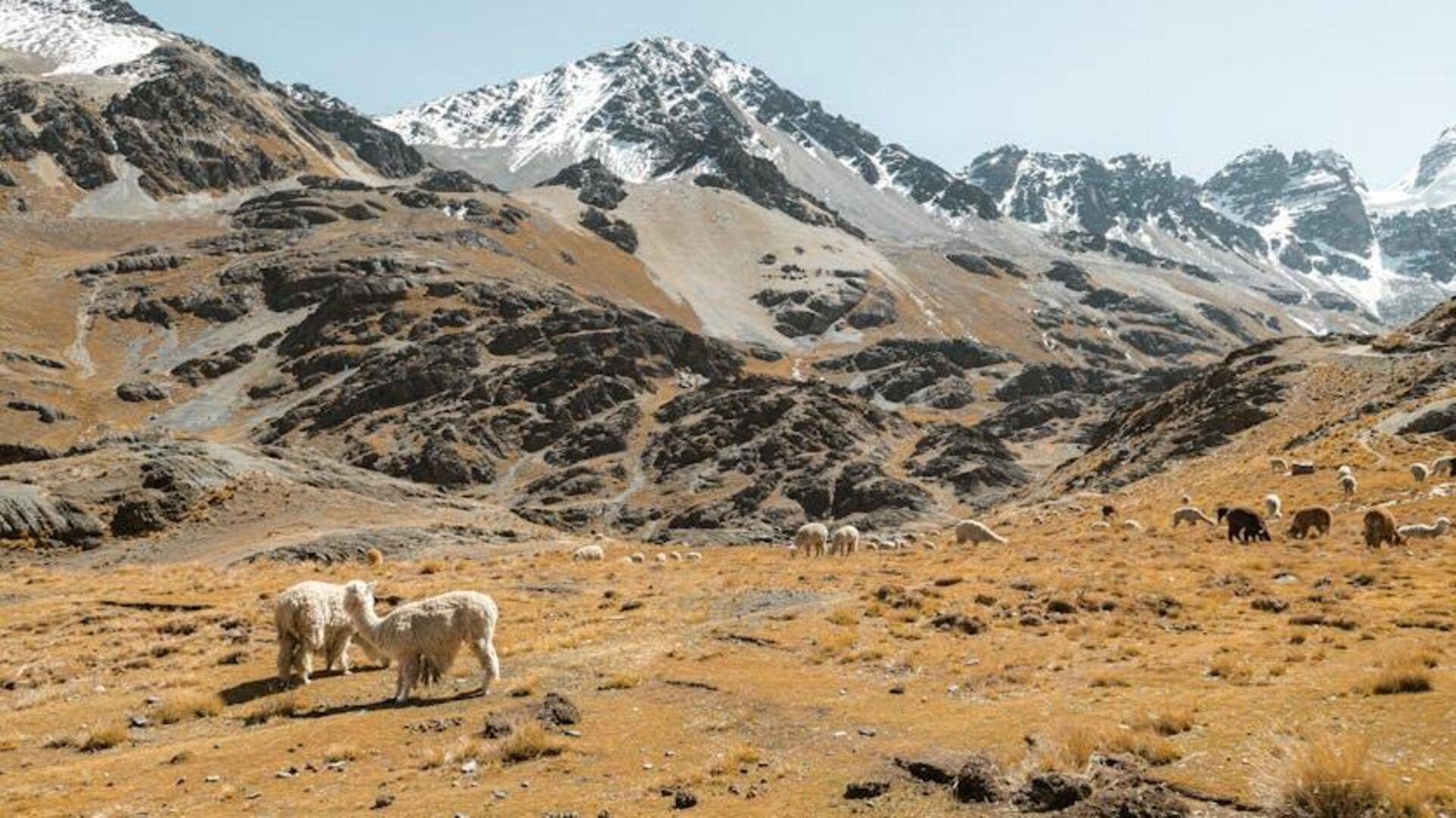 Menikmati Rute Kereta Indah di Bolivia