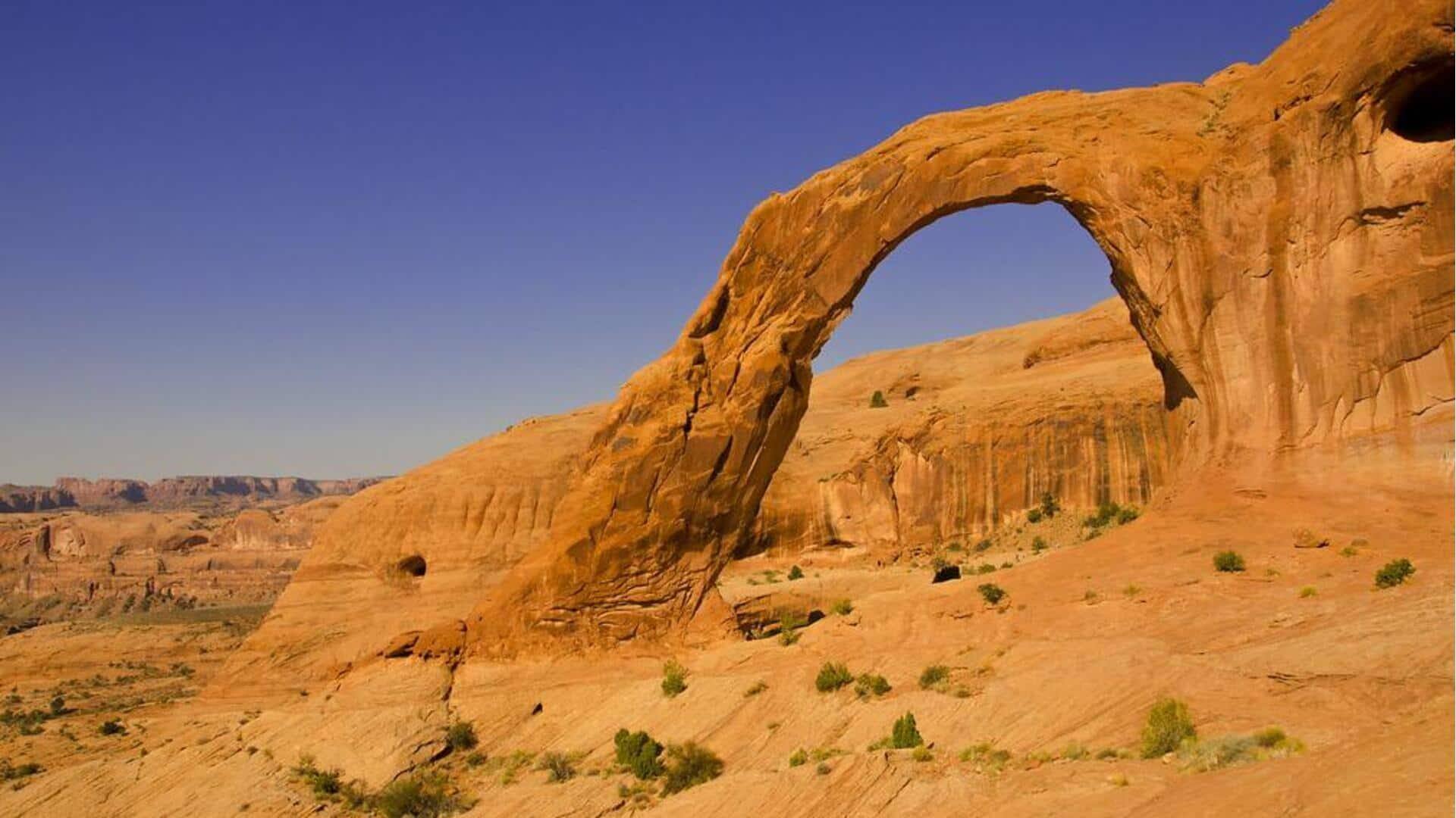 Berbagai hal menarik yang bisa dilakukan saat berada di Moab, Utah 