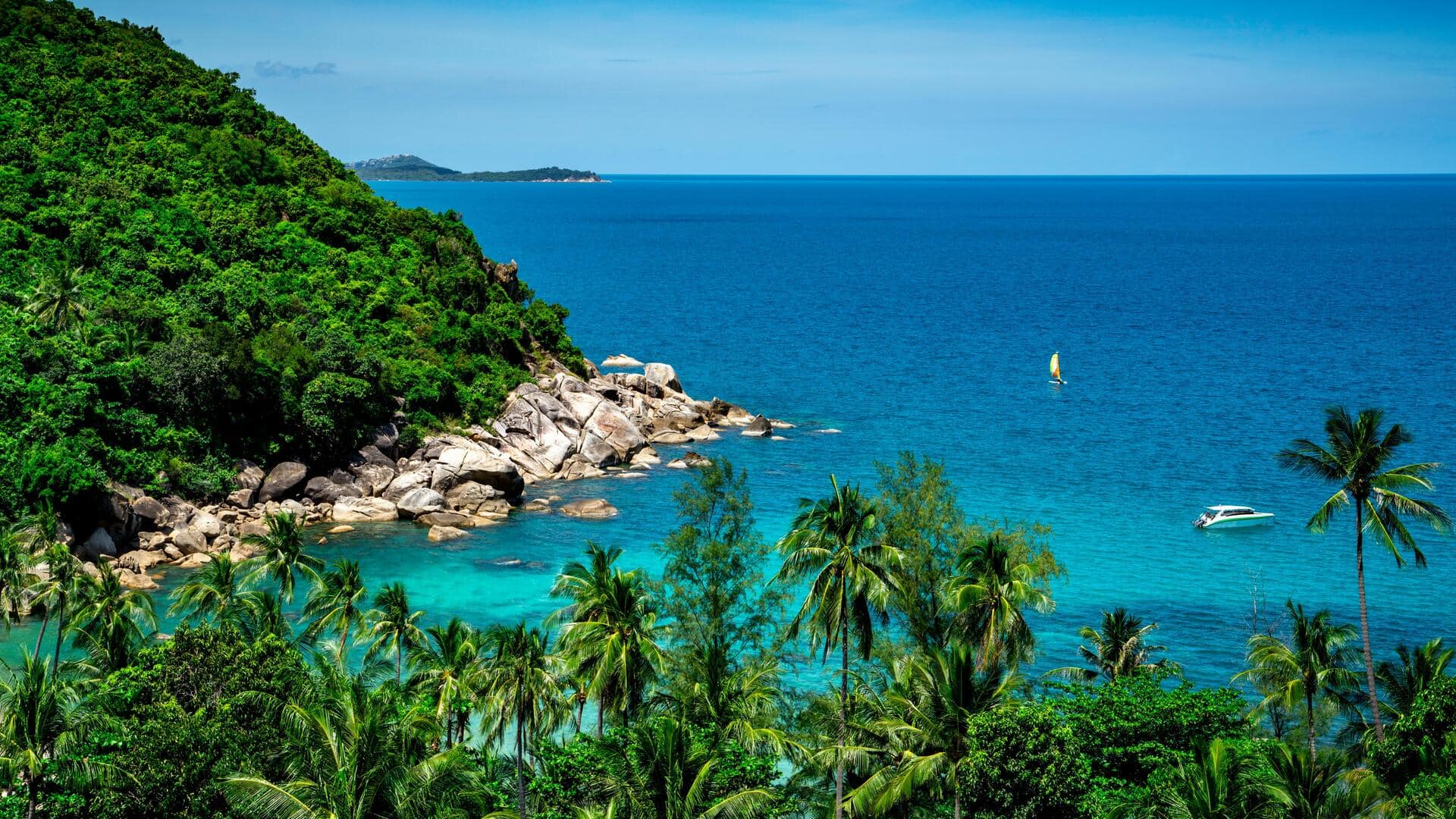 Menjelajahi Hutan Kelapa Ajaib di Koh Samui, Thailand