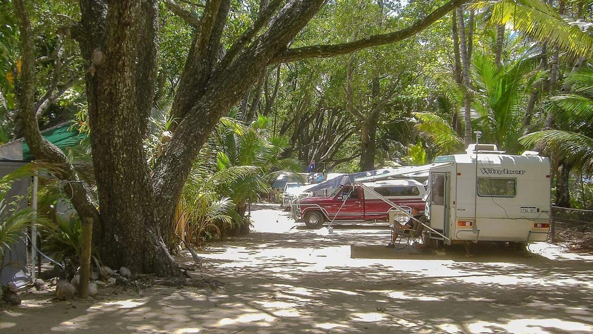 Menyaksikan Satwa Liar di Hutan Daintree Australia