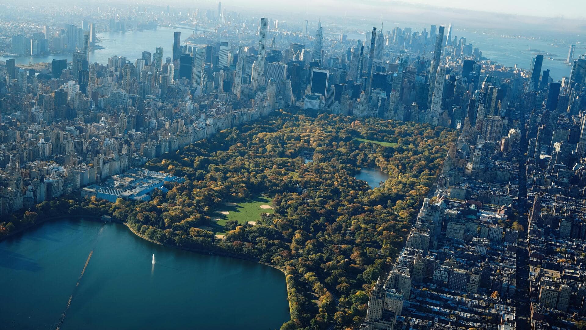 Kebangkitan Hutan Kota: Surga Lingkungan Baru