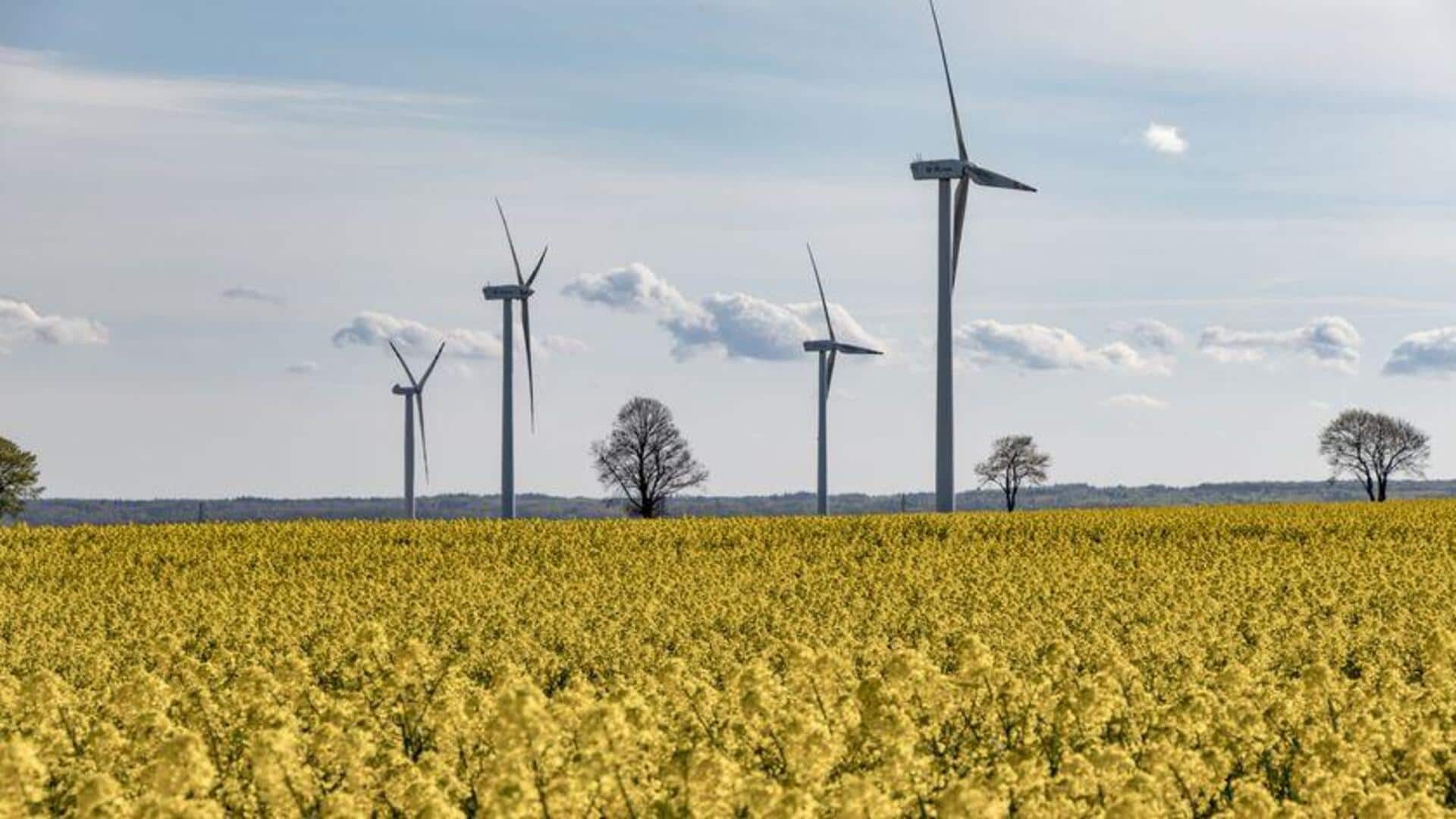 Negara-Negara Terdepan dalam Energi Terbarukan