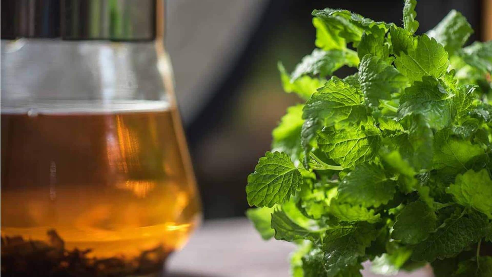 Manfaat Mengejutkan dari Lemon Balm dalam Masakan