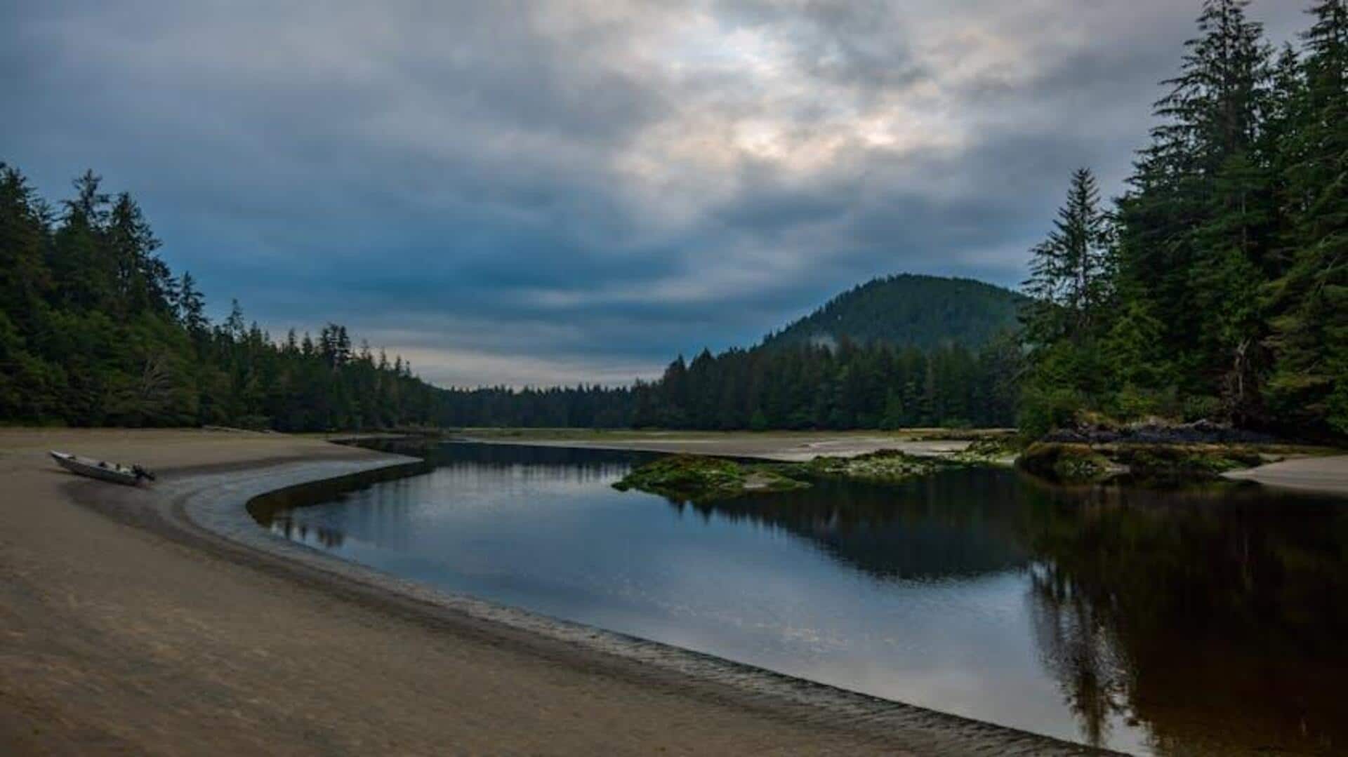 Jelajahi Taman Vancouver dengan Tur Jalan Kaki Ramah Lingkungan