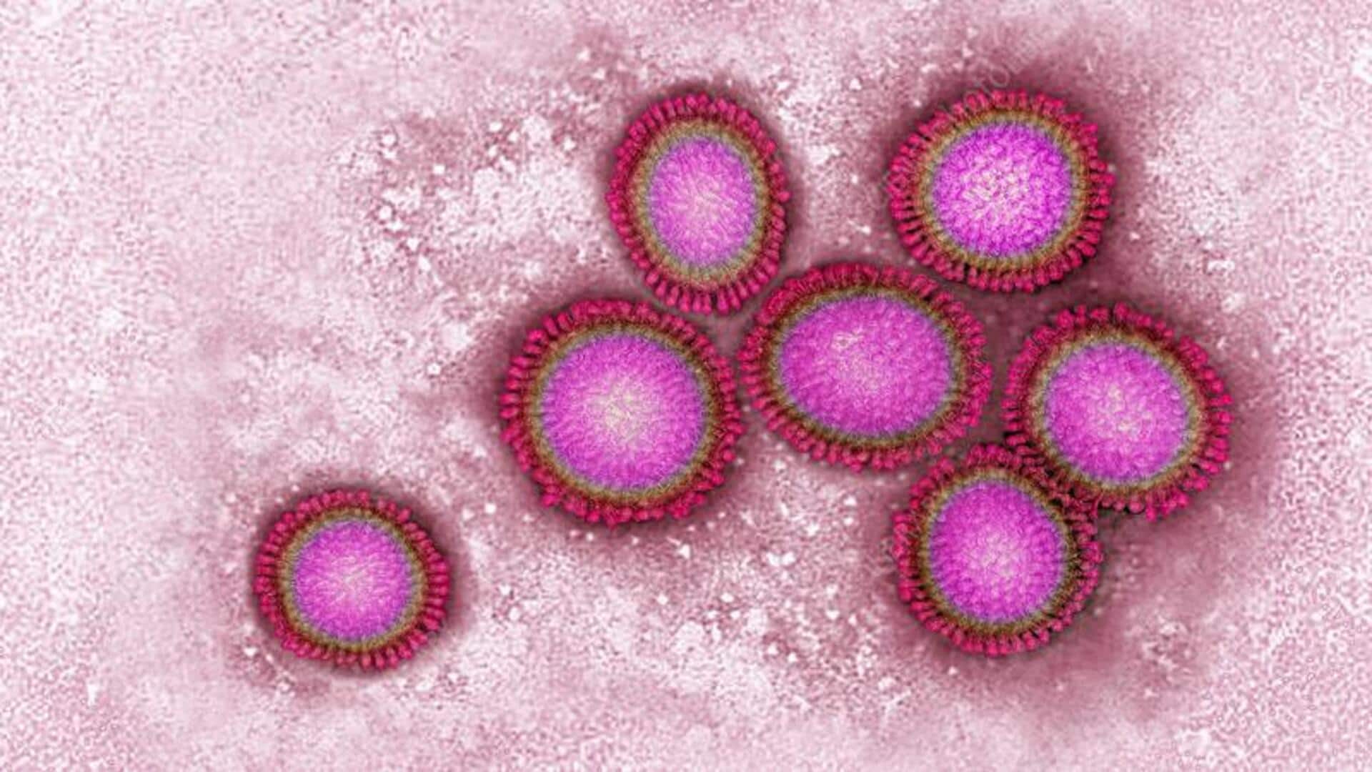Lima Objek Terkecil yang Pernah Difoto dengan Mikroskop Elektron