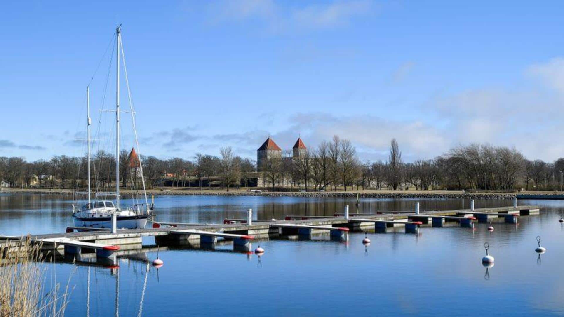 Keindahan Tenang Saaremaa: Menemukan Pesona Pedesaan Estonia