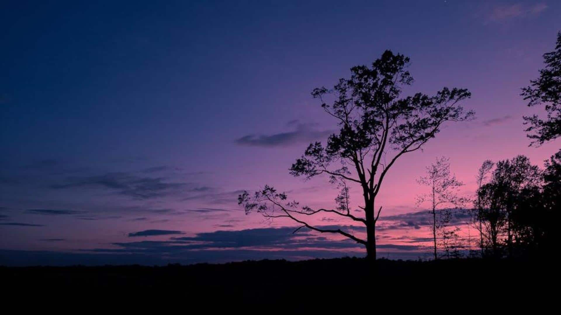 Menangkap Siluet Indah saat Matahari Terbenam