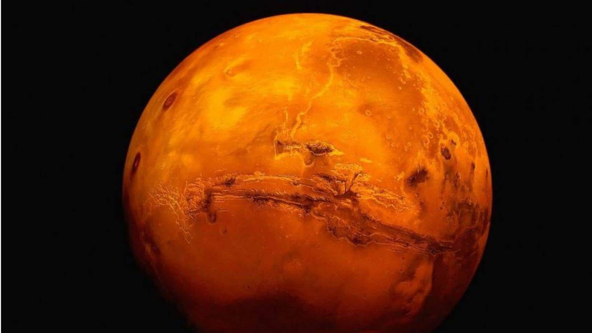 Menjelajahi Kemungkinan Kelangsungan Hidup Jamur di Planet Mars Menjelajahi Kemungkinan Kelangsungan Hidup Jamur di Planet Mars