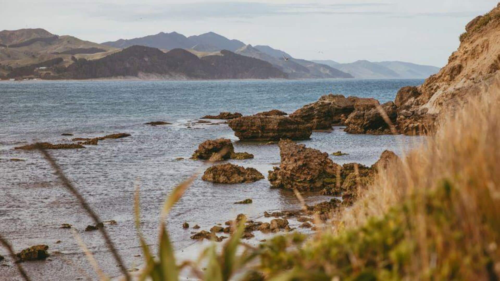 Jelajahi Jalur Pesisir Menakjubkan di Wellington