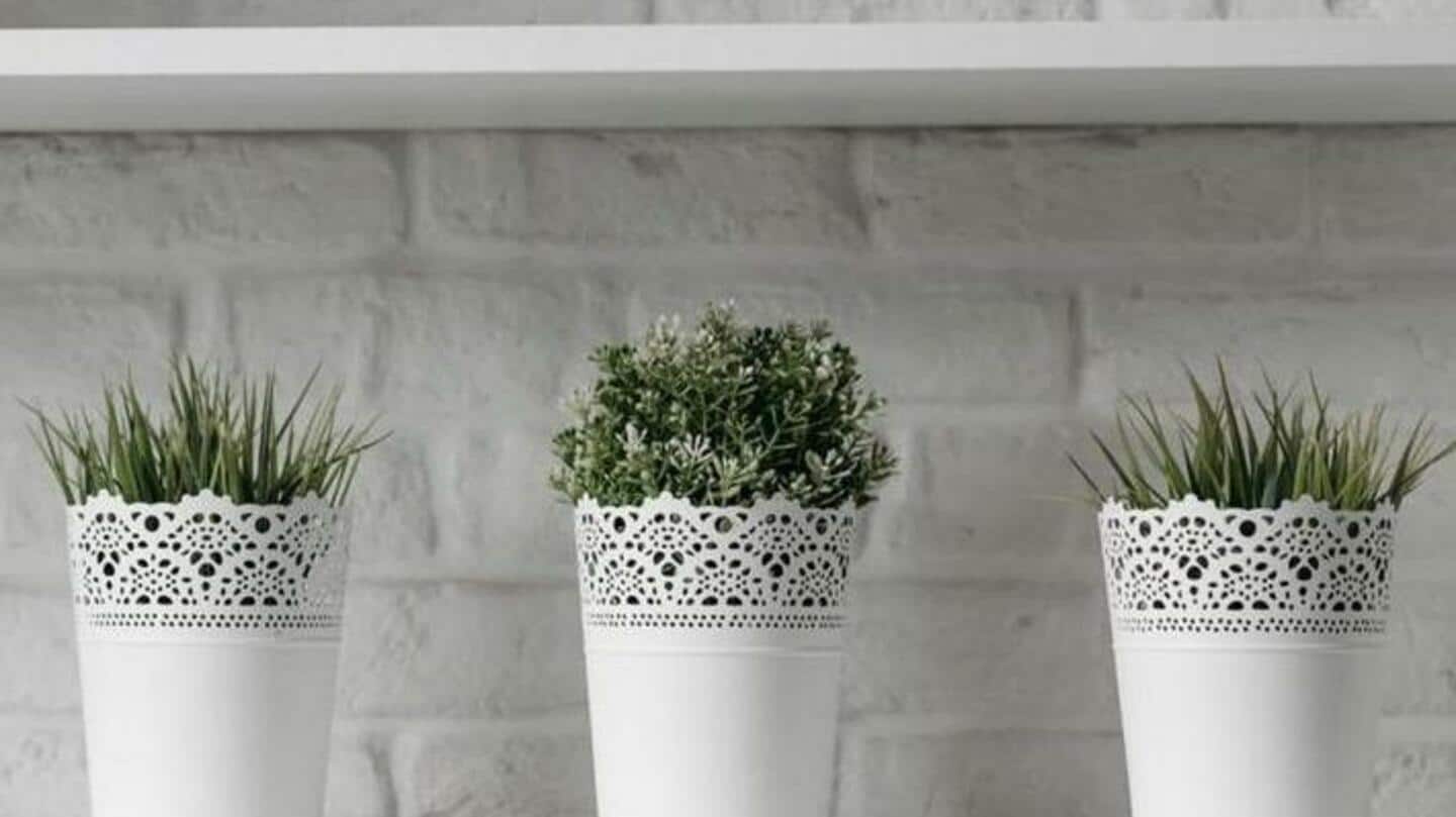 5 pilihan pot tanaman untuk meningkatkan dekorasi rumah Anda