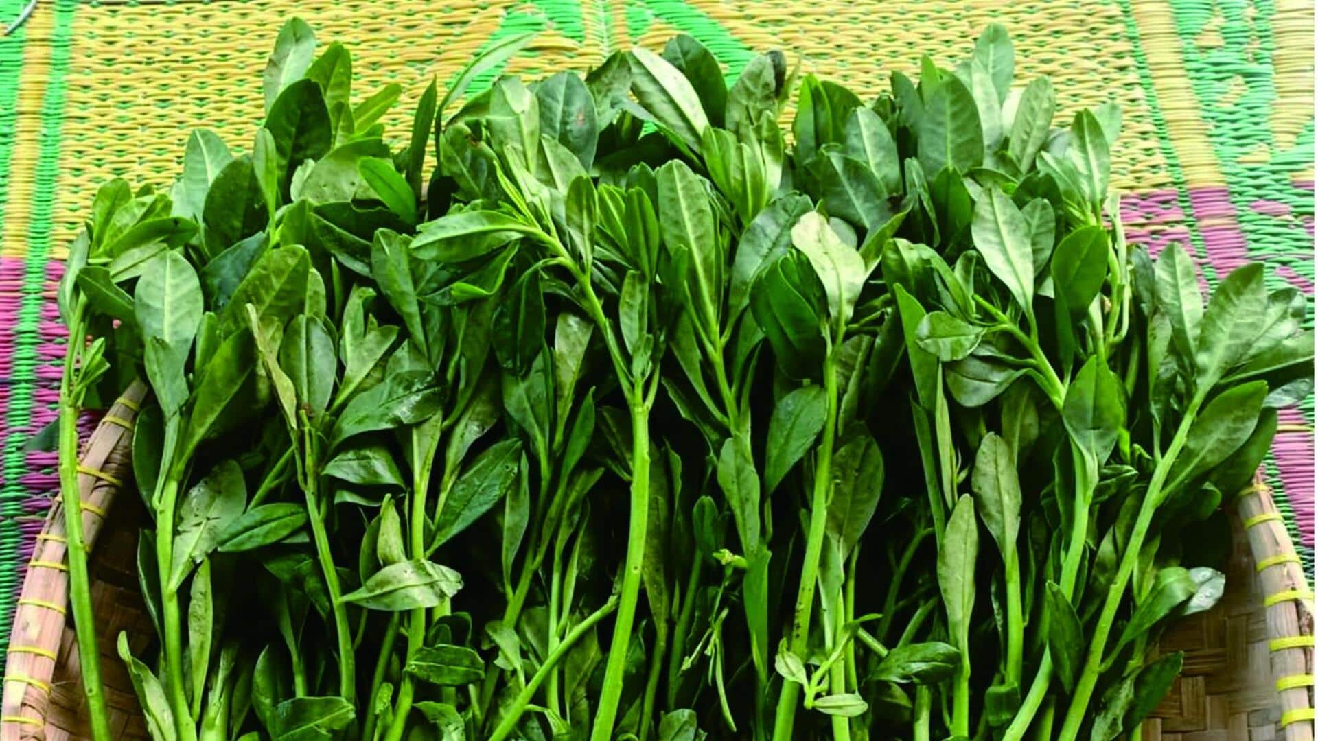 Camilan Kreatif Berbasis Daun Talinum dari Dapur Indonesia