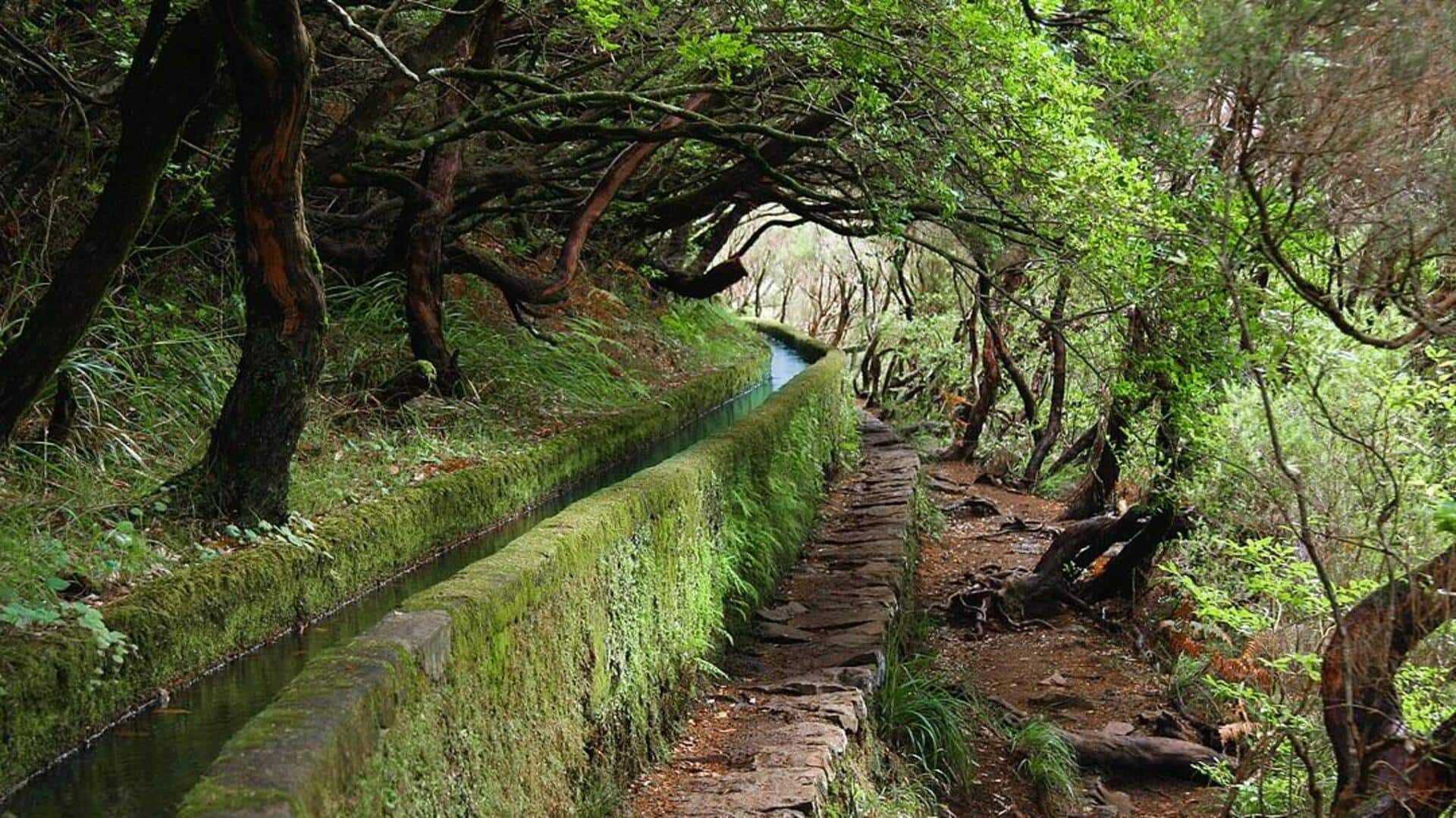 Menemukan Air Terjun Tersembunyi di Madeira