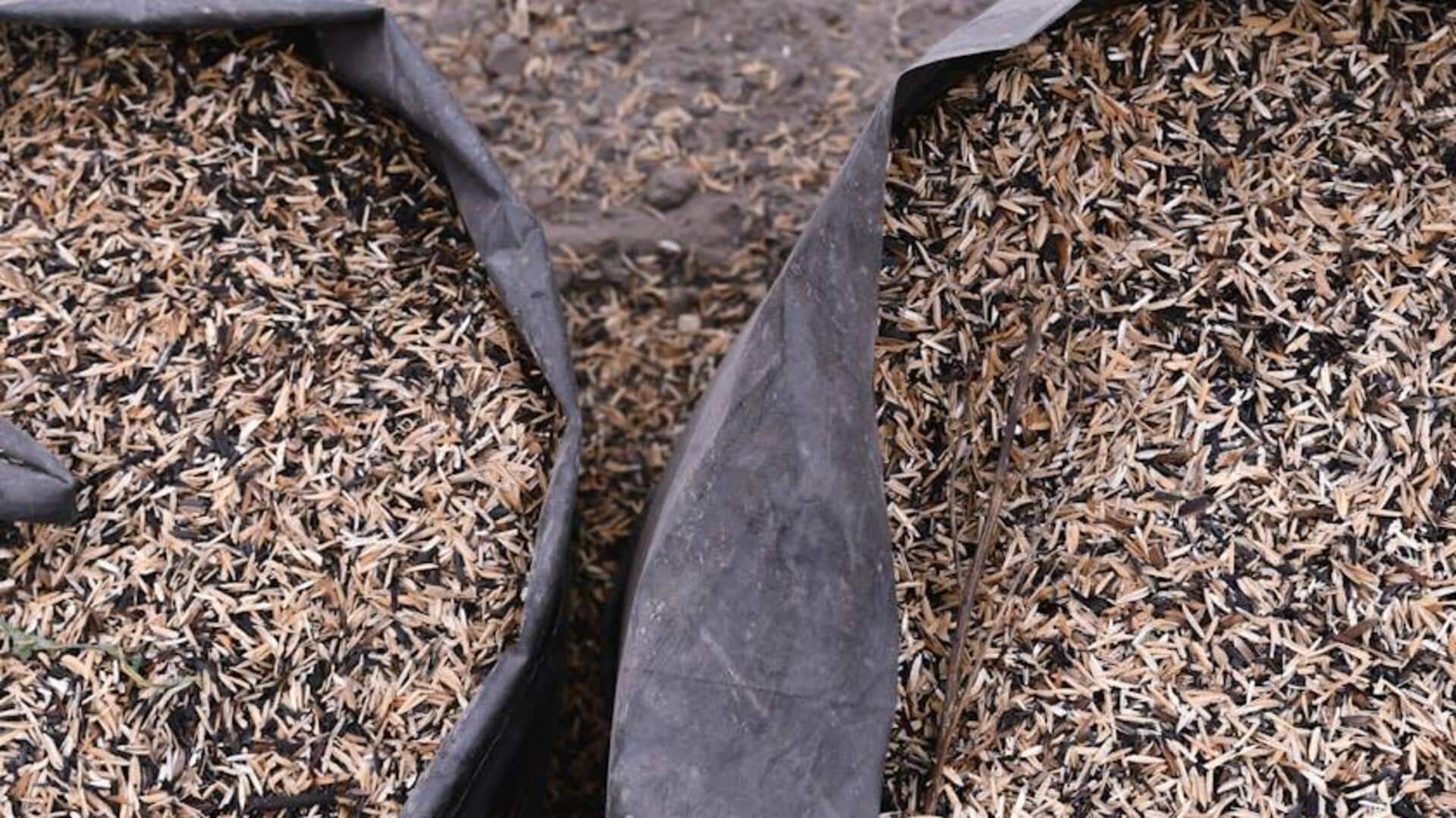 Teknologi Biodegradable: Sekam Padi Atasi Limbah Elektronik