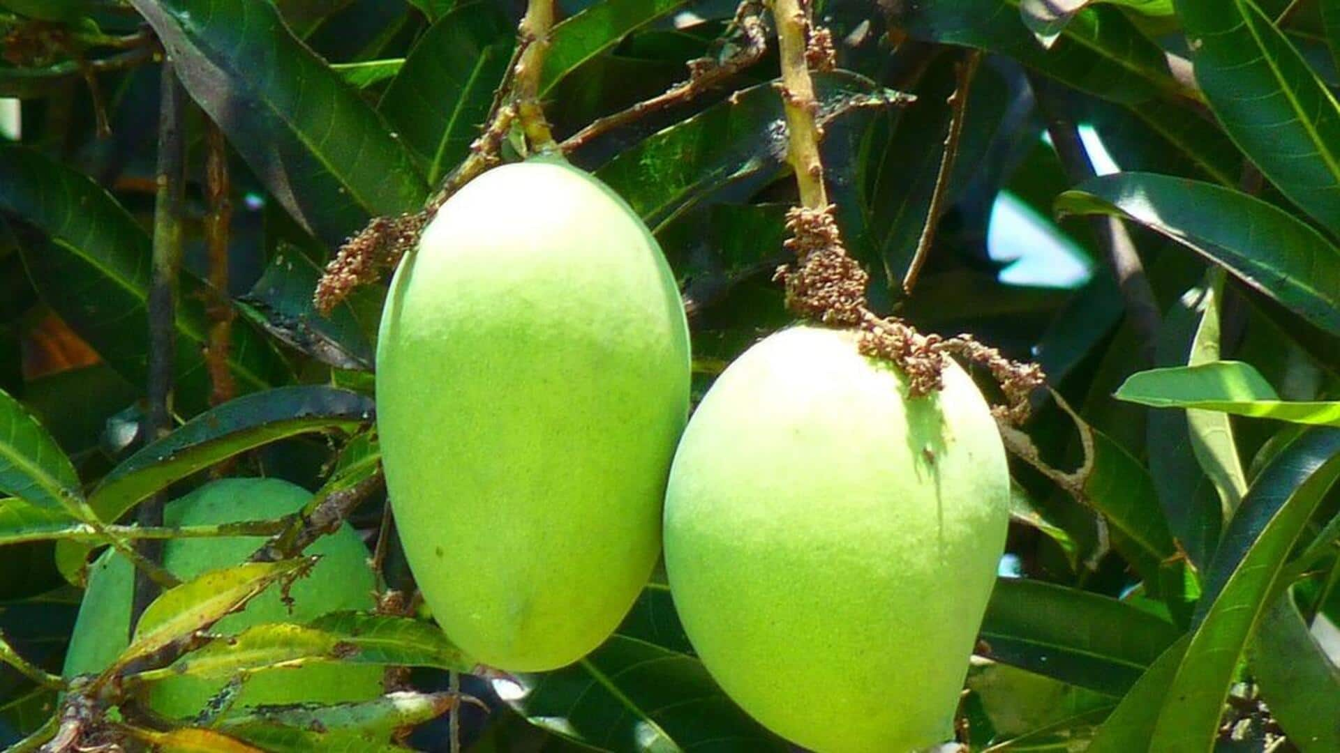 Hidangan vegan Thailand berbahan mangga