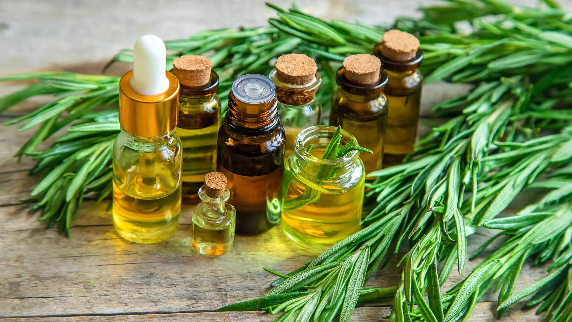 Minyak Rosemary: Tingkatkan Konsentrasi dan Fokus Kerja di Rumah Minyak Rosemary: Tingkatkan Konsentrasi dan Fokus Kerja di Rumah