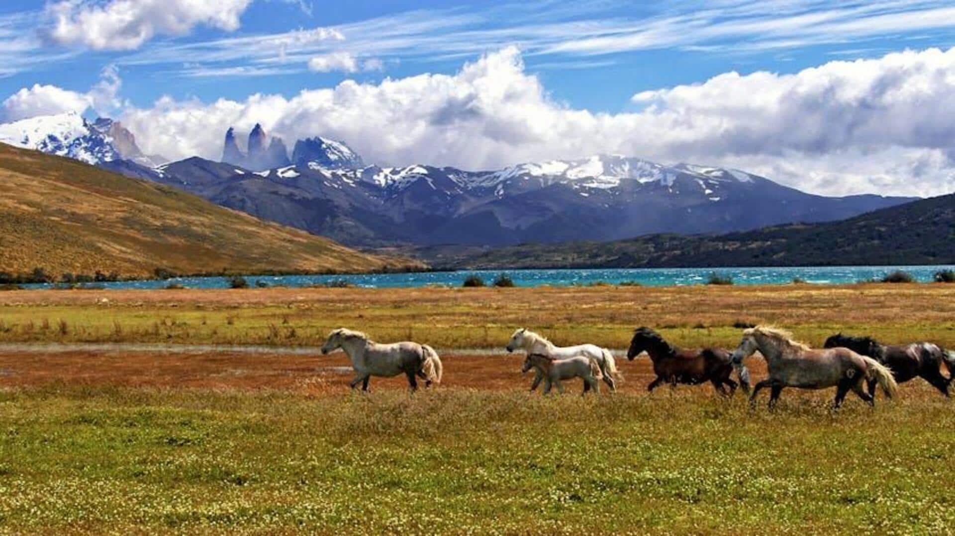 Menjelajahi Patagonia: Keindahan Alam yang Menakjubkan