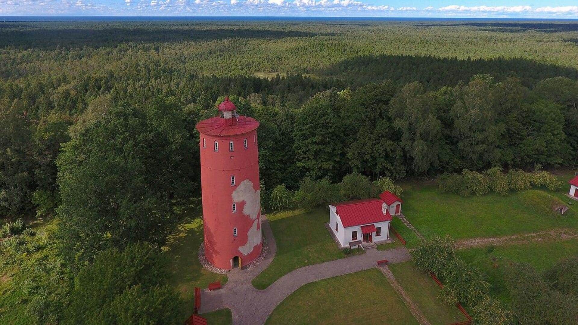 Rute-Rute Hiking Santai di Hutan Latvia