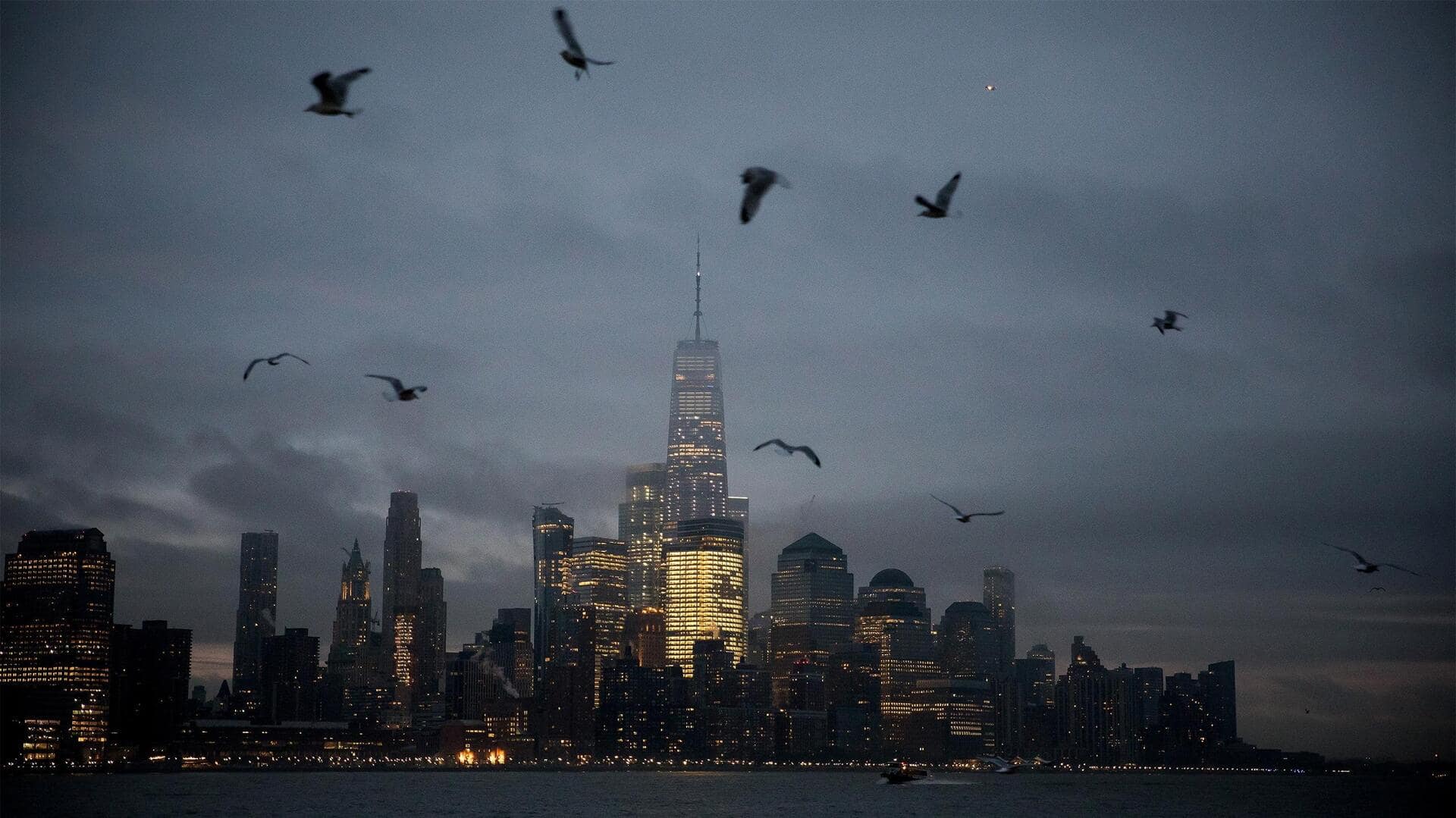 Pengaruh Polusi Cahaya Lampu Kota terhadap Pola Migrasi Burung
