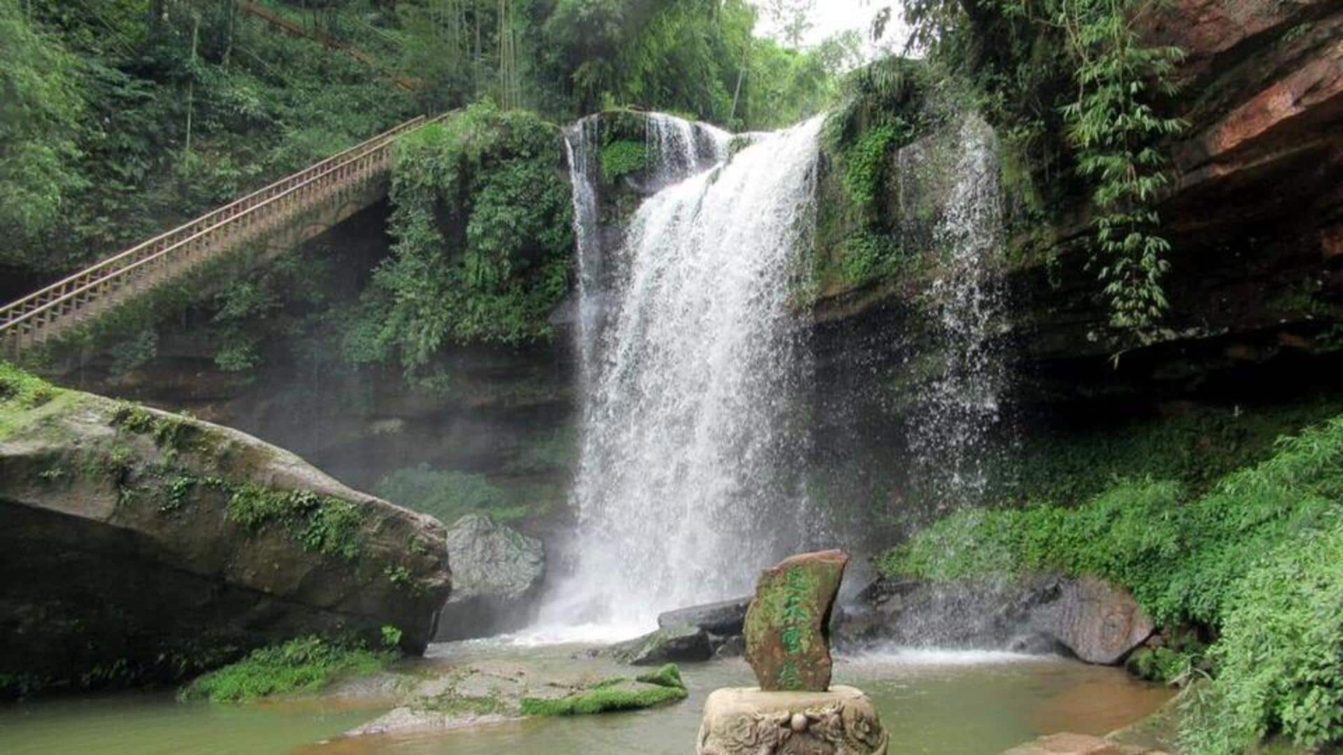 Menyusuri Keindahan Lautan Bambu Yibin, Tiongkok