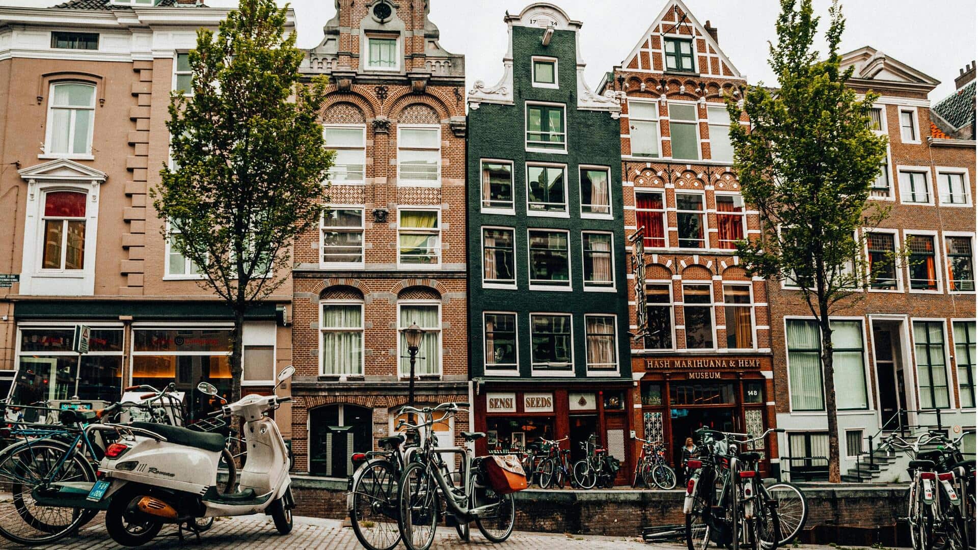 Menemukan Keindahan Jalur Sepeda di Amsterdam Menemukan Keindahan Jalur Sepeda di Amsterdam