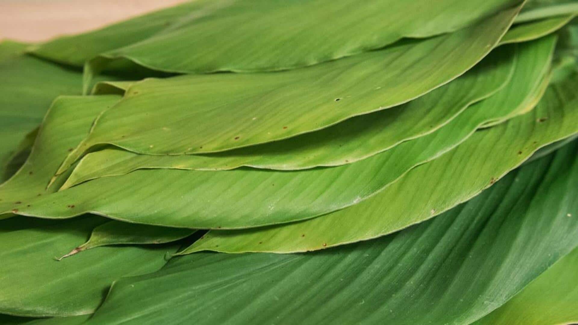 Manfaat Daun Kunyit dalam Beragam Hidangan di Dapur Anda