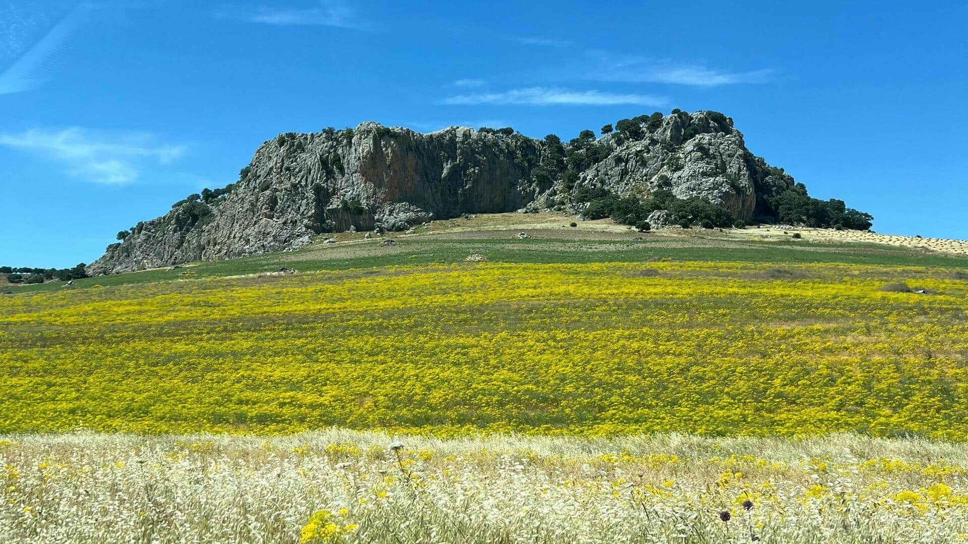 Menjelajahi Keindahan Taman Alam Grazalema, Andalusia, Spanyol