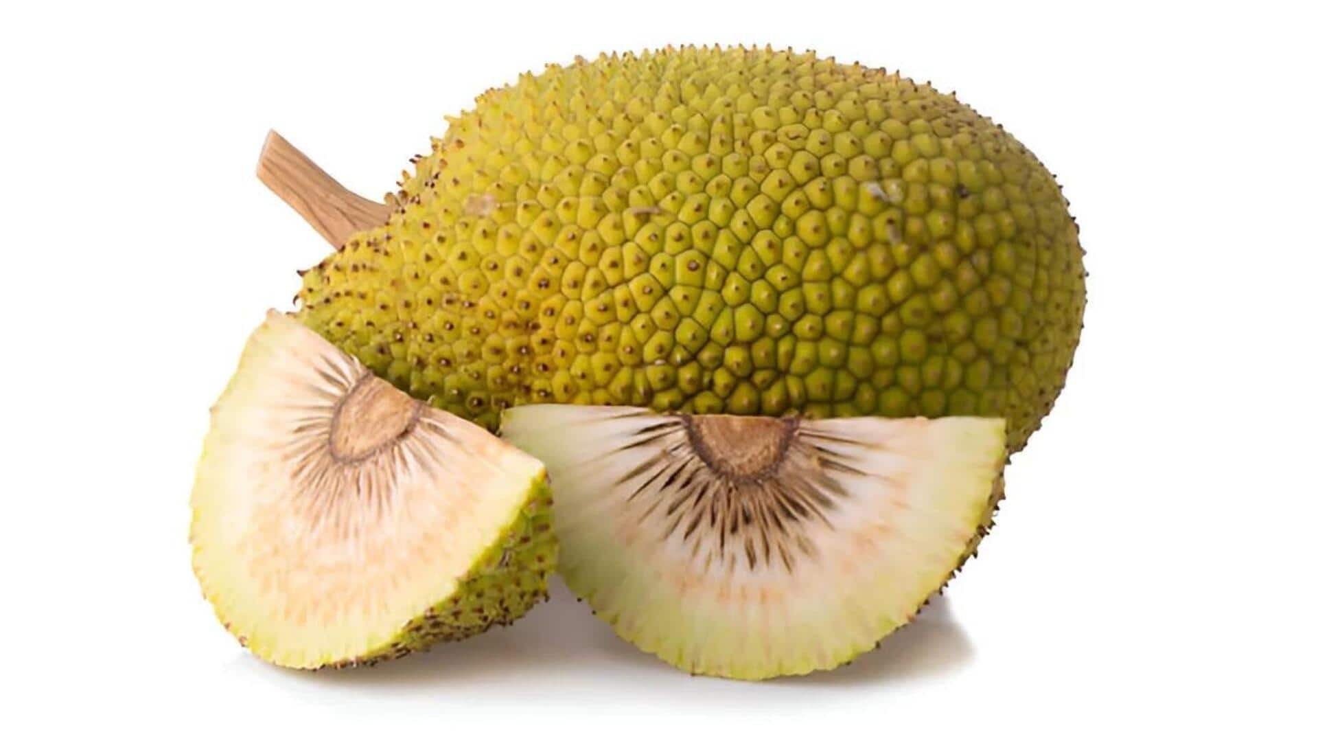 Lima Resep Sukun Eksotis untuk Kreativitas Kuliner