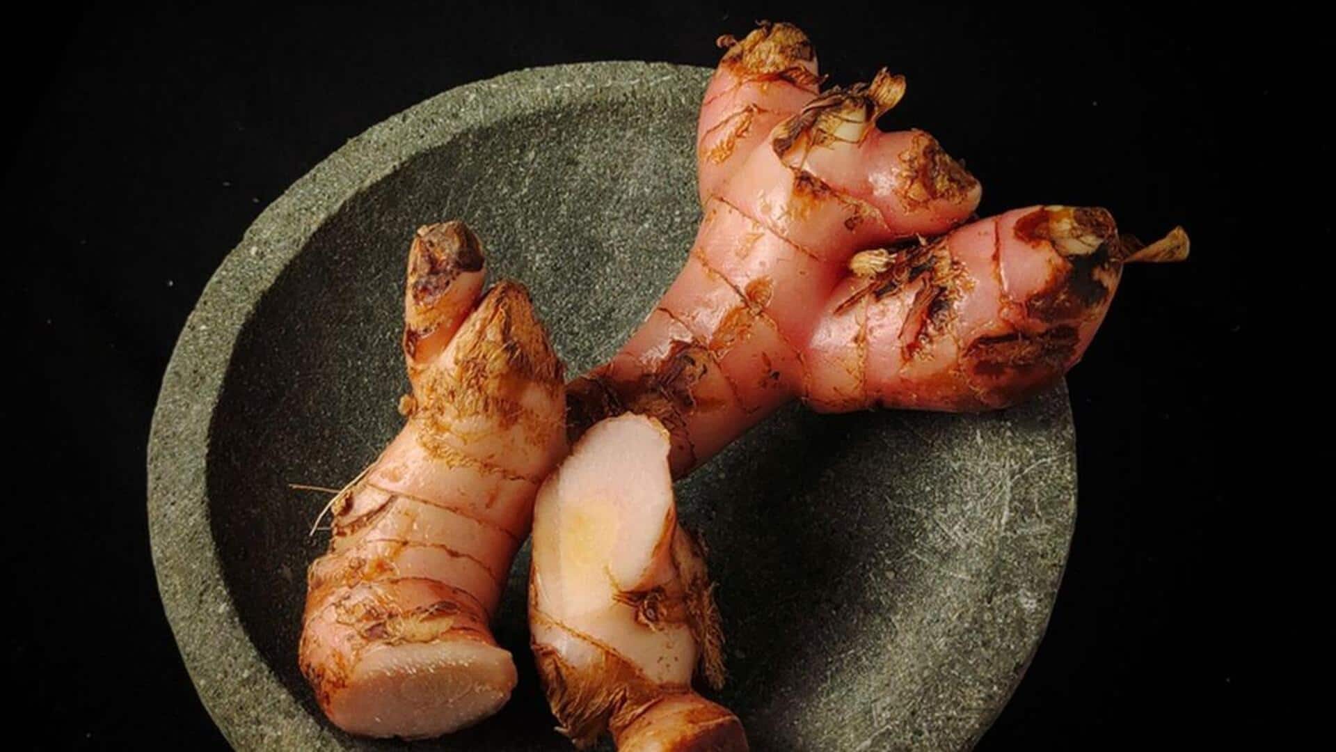 Menikmati Beragam Hidangan dengan Tambahan Lengkuas