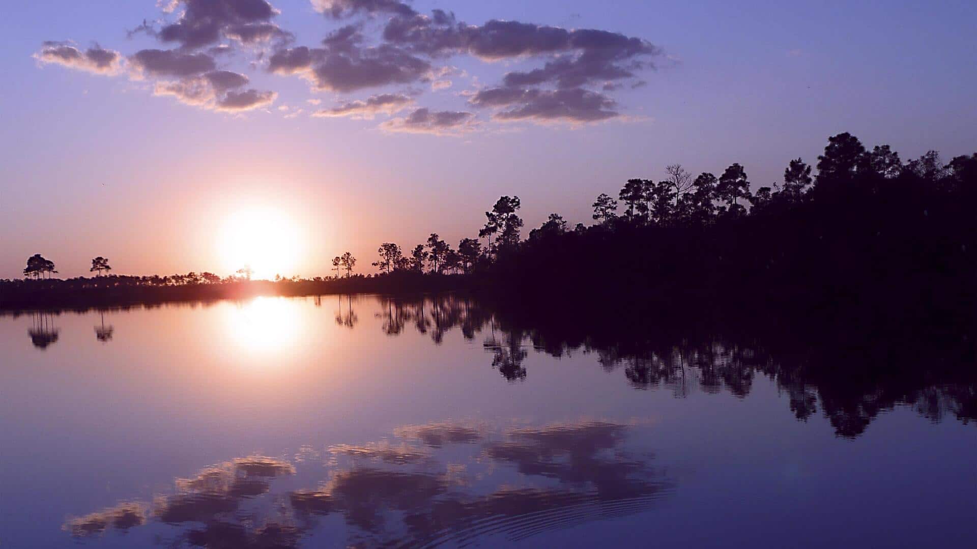 Menjelajahi Kedalaman Fotografi melalui Permukaan Reflektif