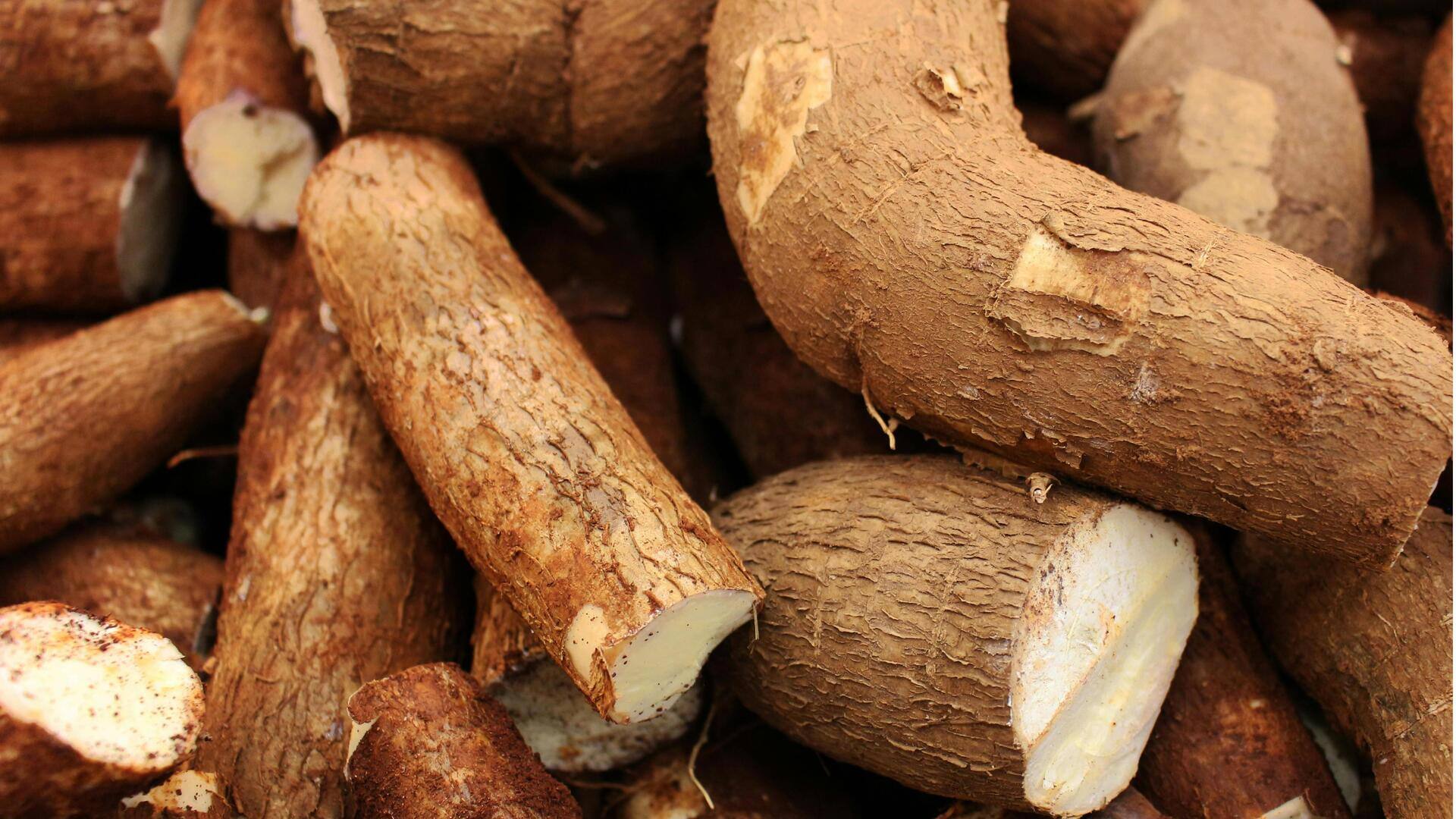 Peran Fermentasi dalam Hidangan Penutup Vegan Indonesia