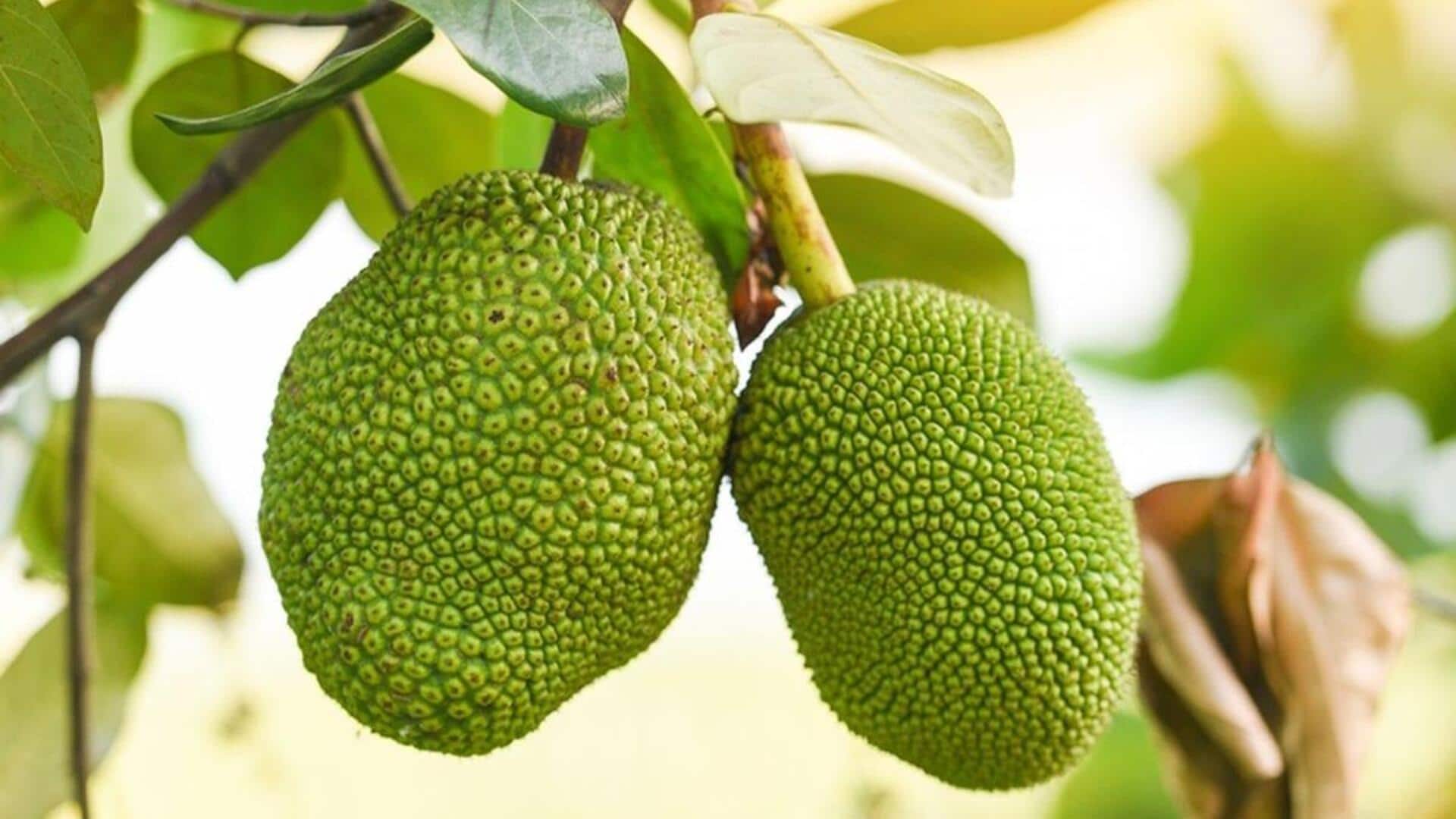 Beragam Manfaat yang Ajaib dari Buah Nangka