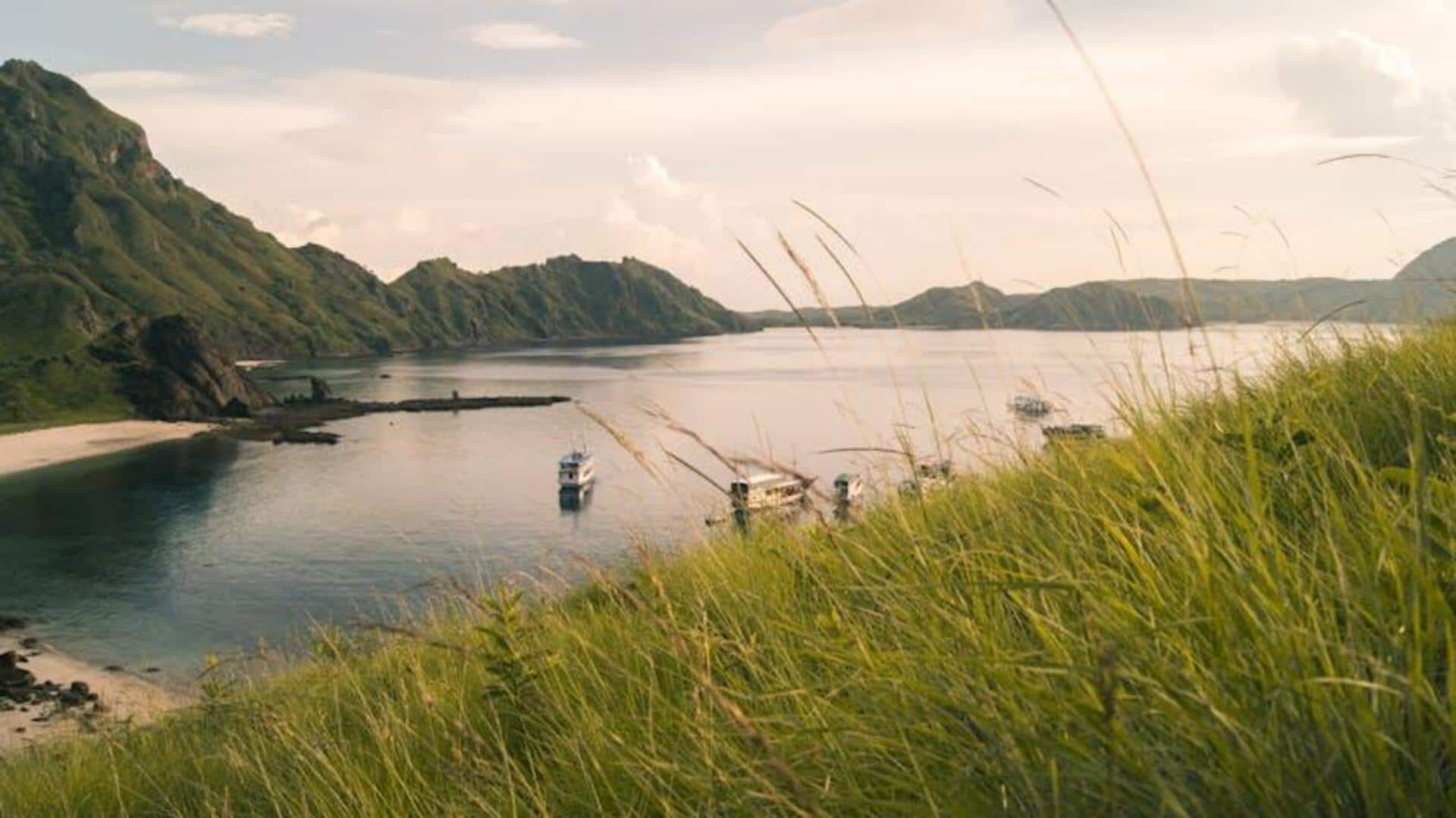 Menjelajahi Hutan Hujan Kuno di Taman Nasional Indonesia