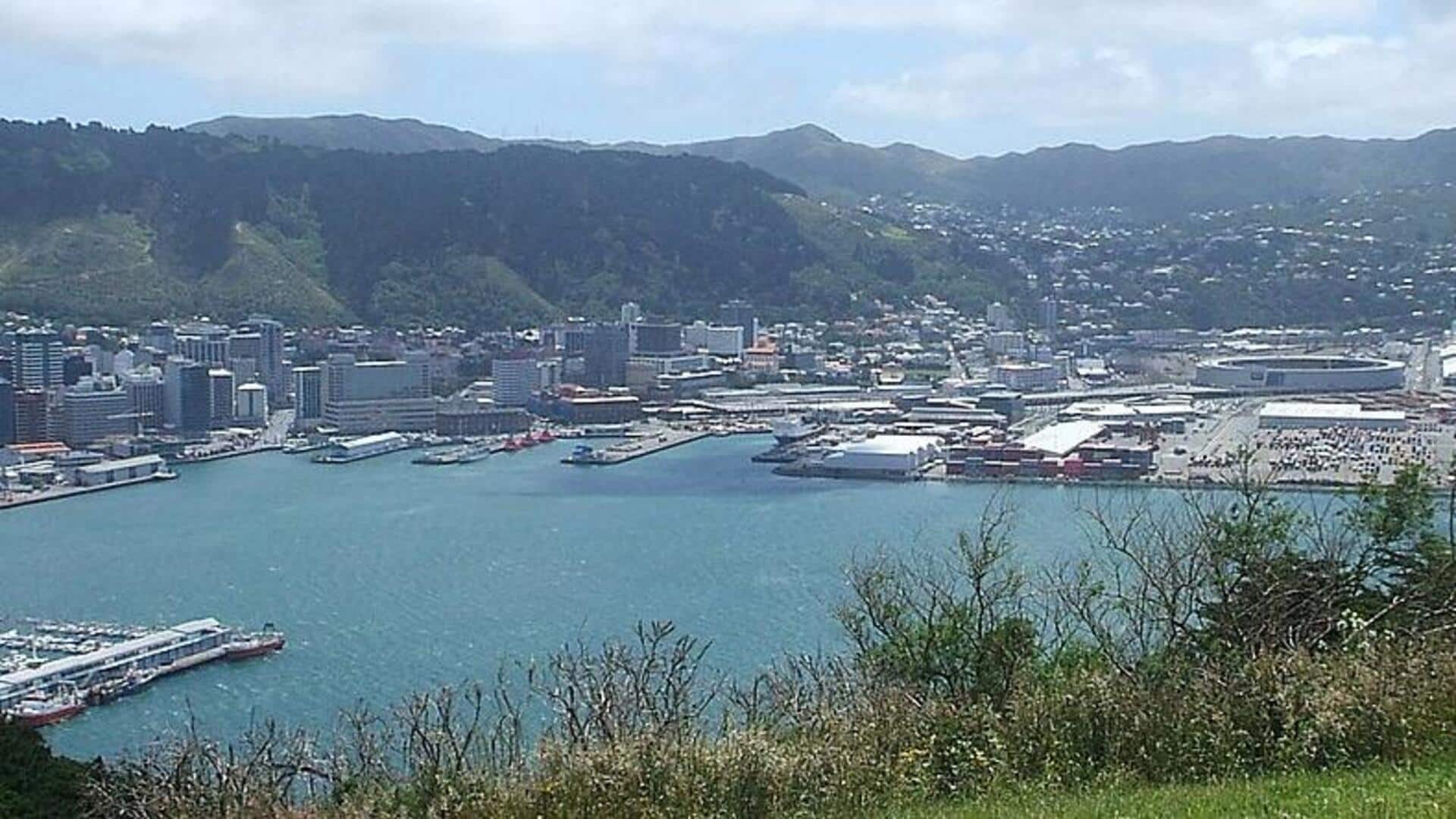 Mengenal Pelabuhan dan Budaya Wellington
