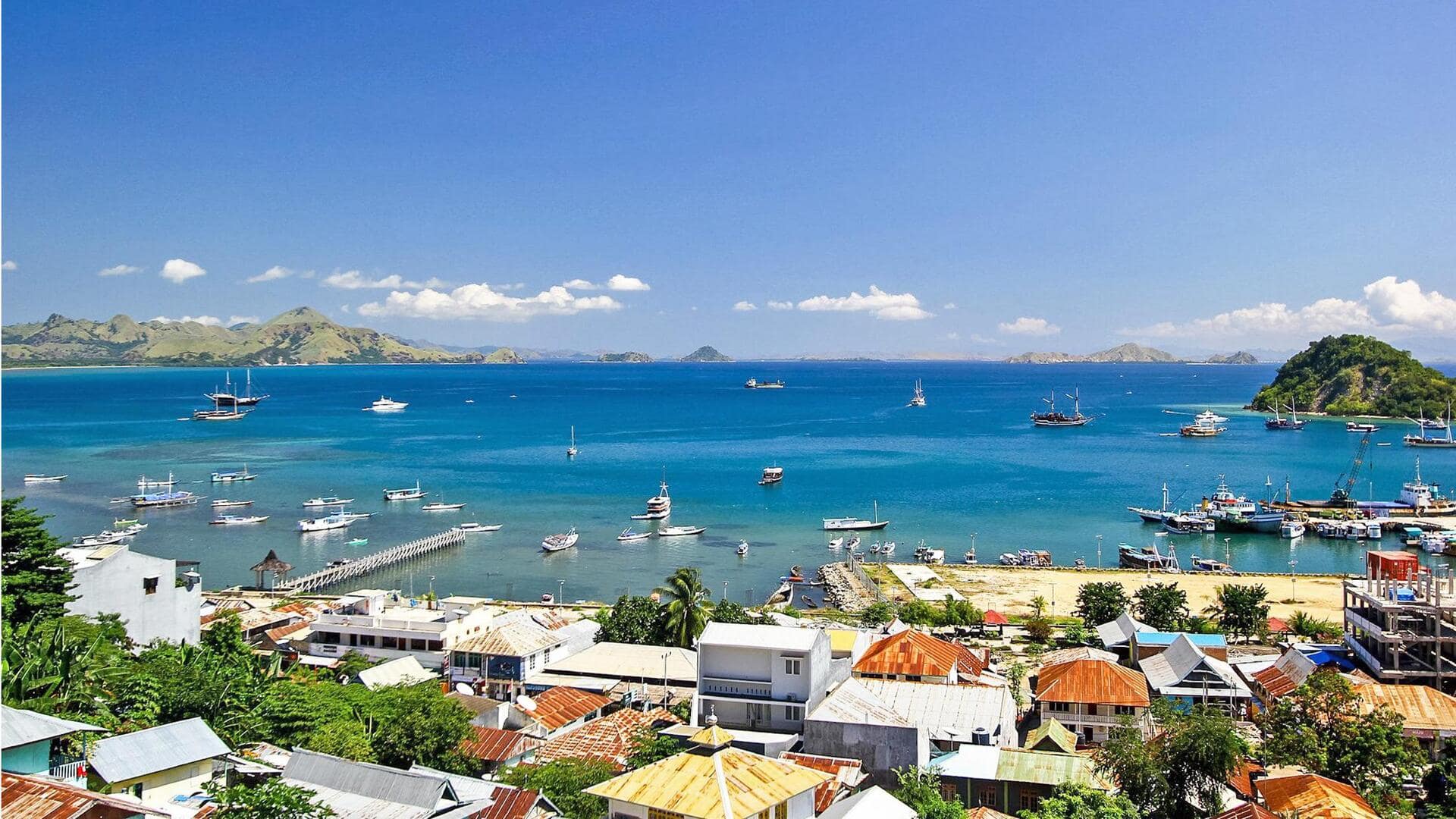 Menyelami keindahan bawah laut Labuan Bajo Menyelami keindahan bawah laut Labuan Bajo