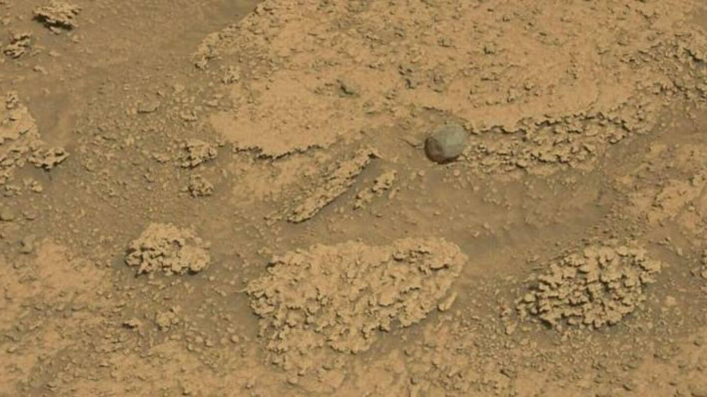 Curiosity Rover NASA menemukan 'batu abu-abu yang tidak biasa' di Mars