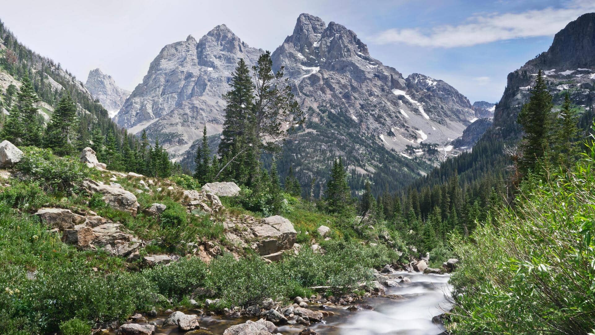 Temukan Satwa Liar Menakjubkan di Grand Teton: Menjelajahi Cascade Canyon