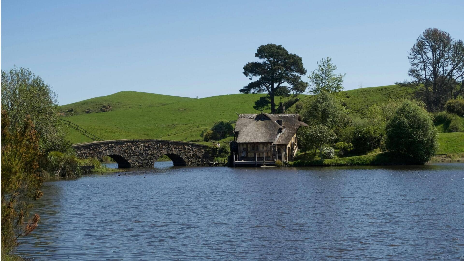 Menjelajahi Set Film Hobbiton di Matamata, Selandia Baru