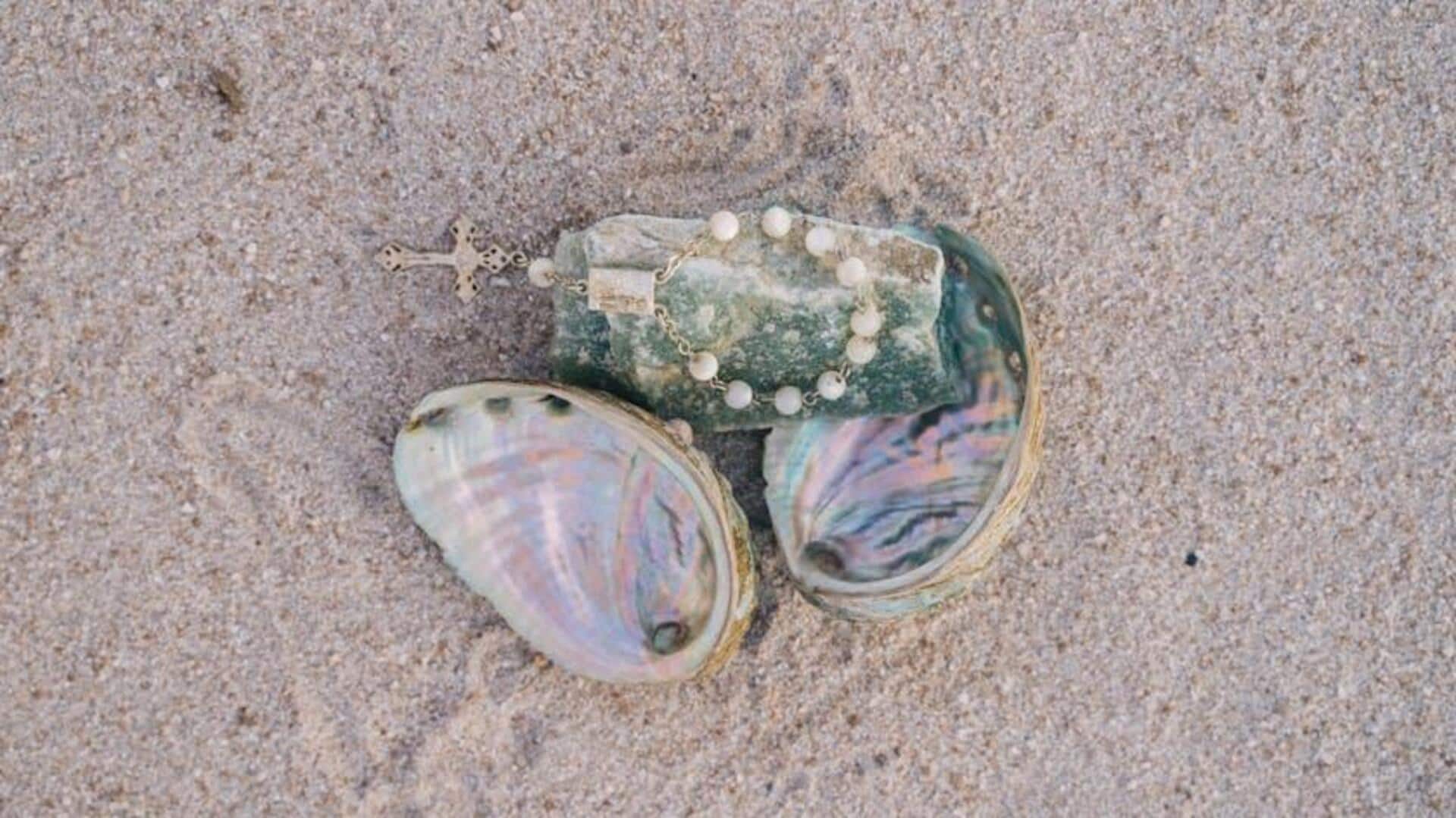 Keindahan Nacre: Cermin Alami Terkecil di Dunia