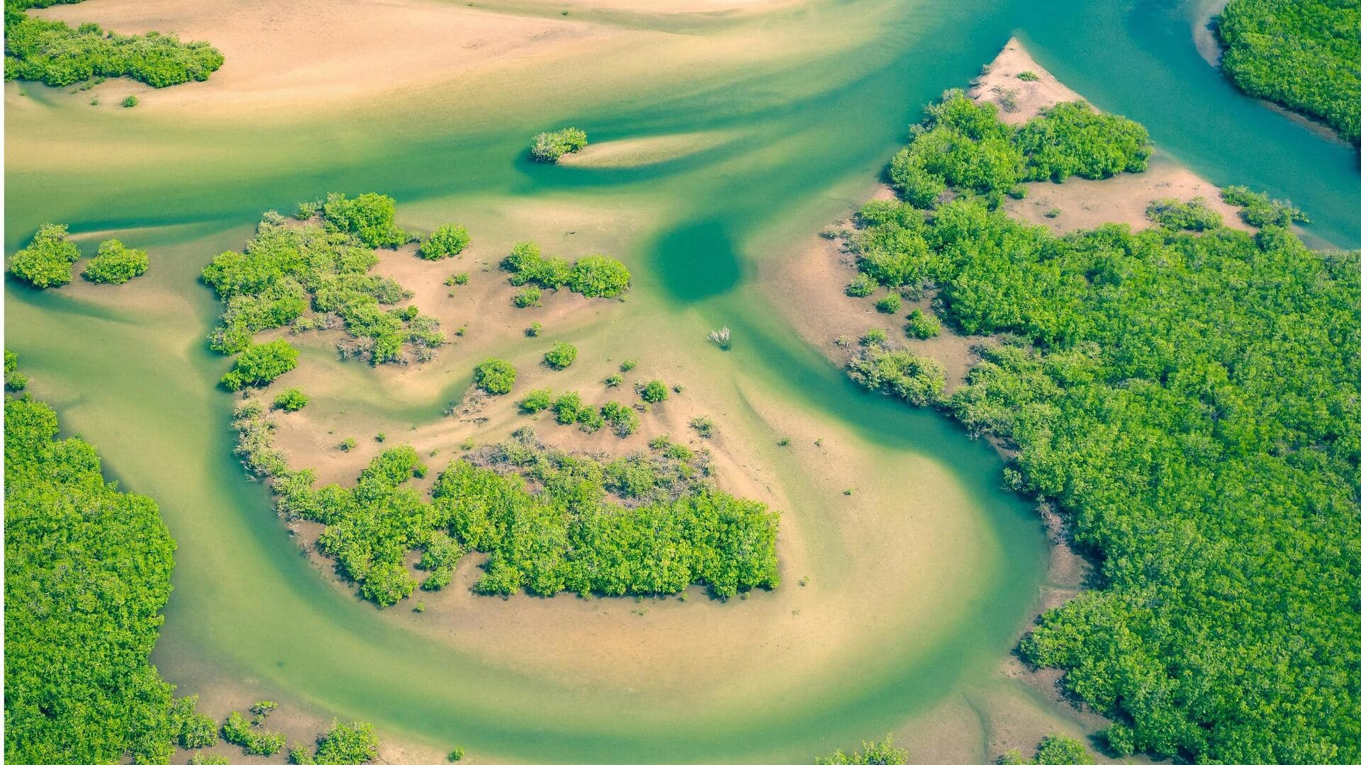 Menjelajahi Keunikan Biodiversitas Sokone, Senegal