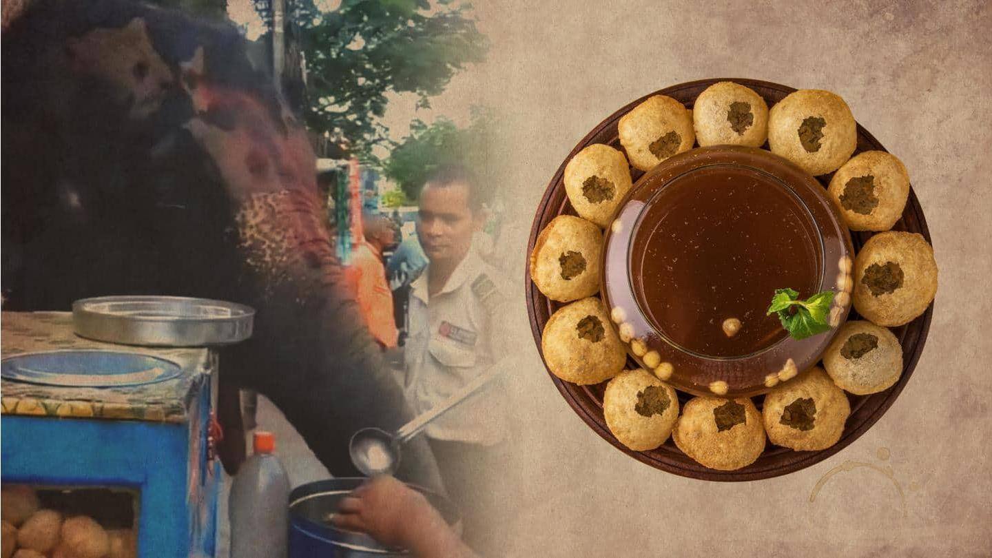 Viral video gajah makan panipuri di Assam, India