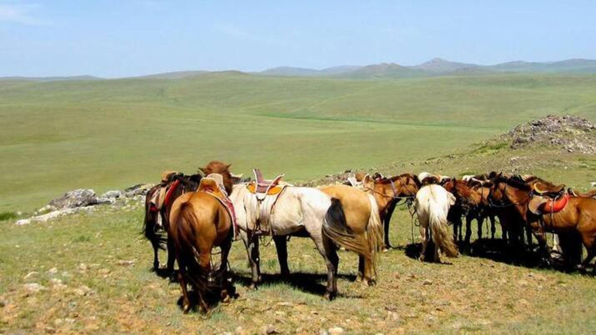 Rekomendasi Wisata: Berpacu Melintasi Padang Rumput Mongolia